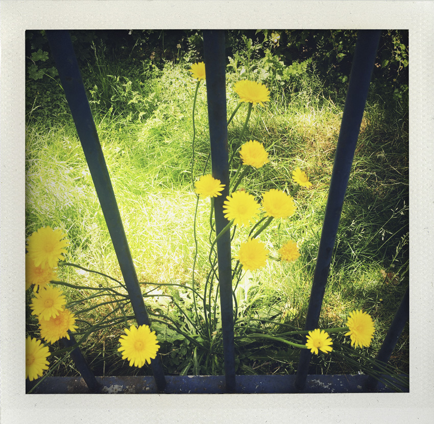 18 Mai 2020 Soleil partiel