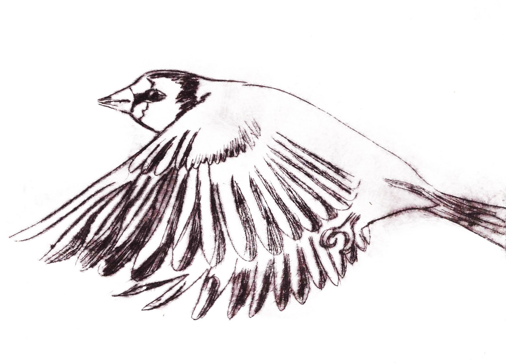 Au loin,gravure pointe sèche, 15x11 cm