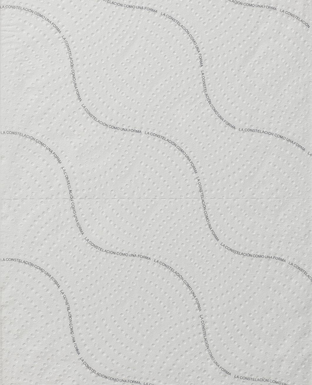 LA CONSTELACIÓN COMO UNA FORMA, 2023  Impresión inkjet s/servilletas de papel absorbente 29,5x19,4 cm.