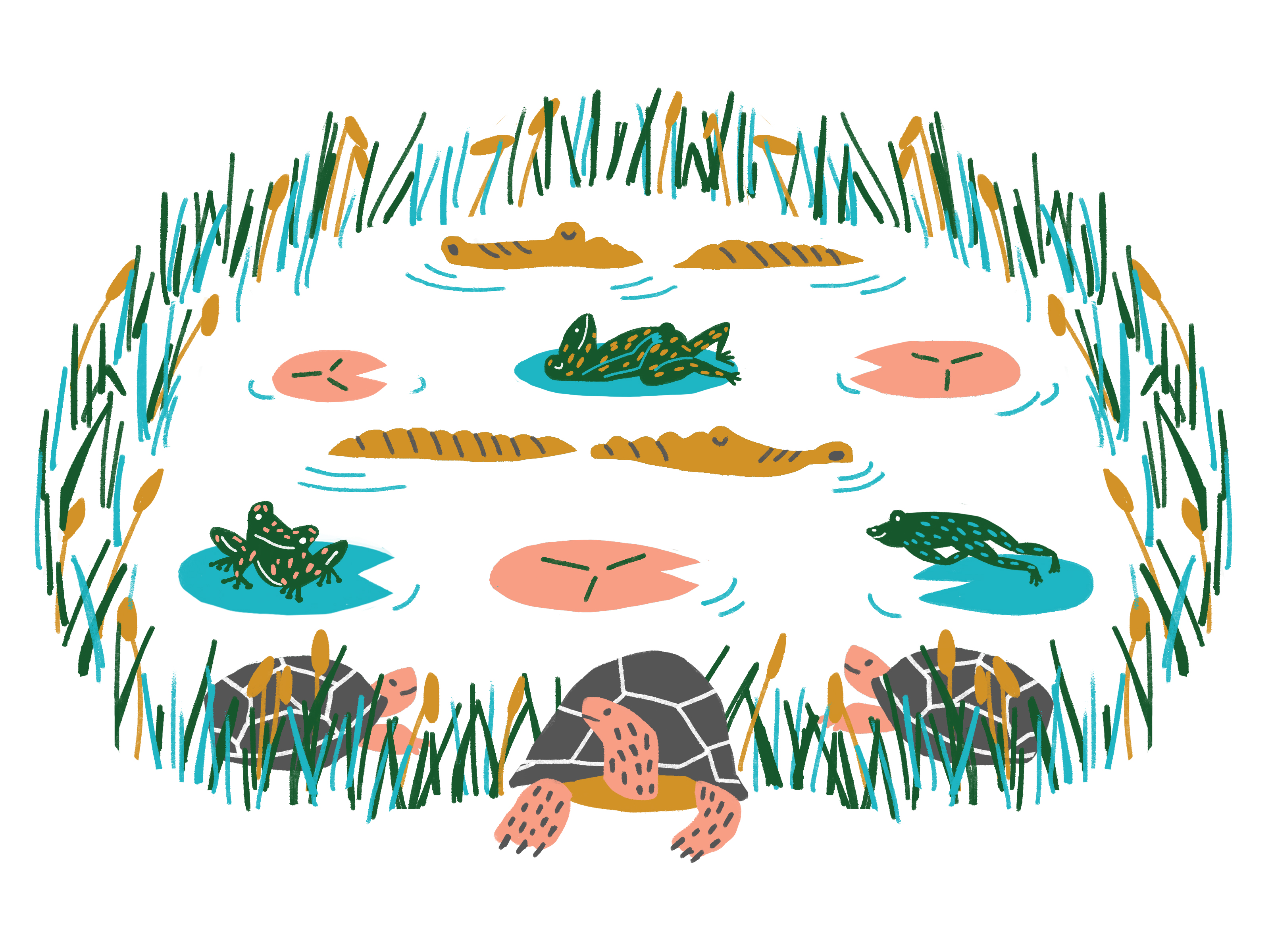 Pond Stock Vector (Royalty Free) 320472629 | Shutterstock