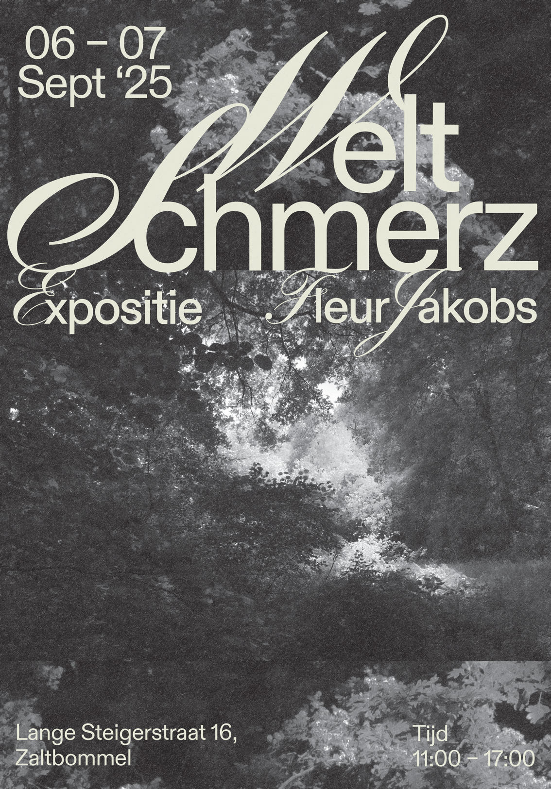 Poster for Fleur Jakobs (2025)