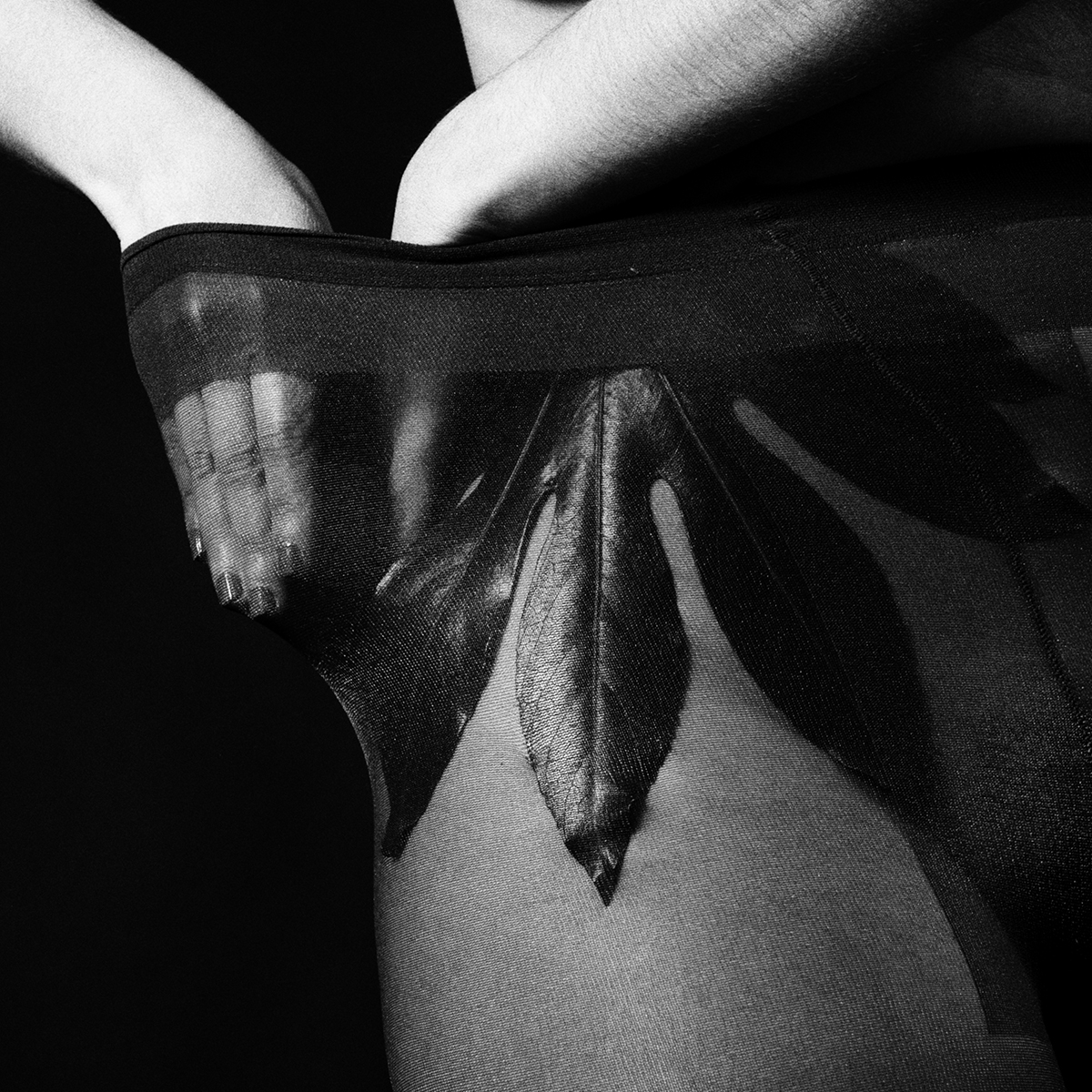 Estudis Fastia, 2023