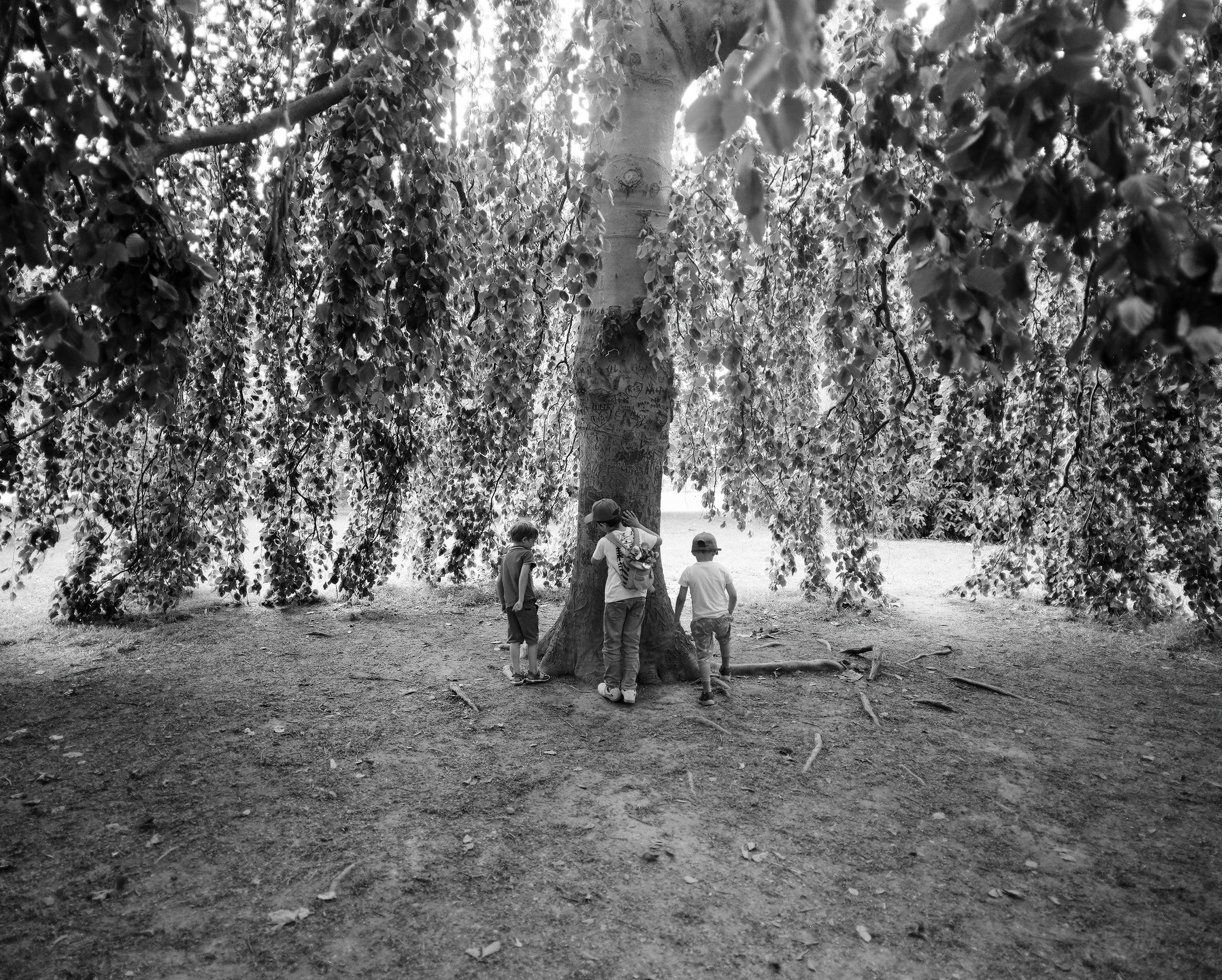 Scared Growth (2022)