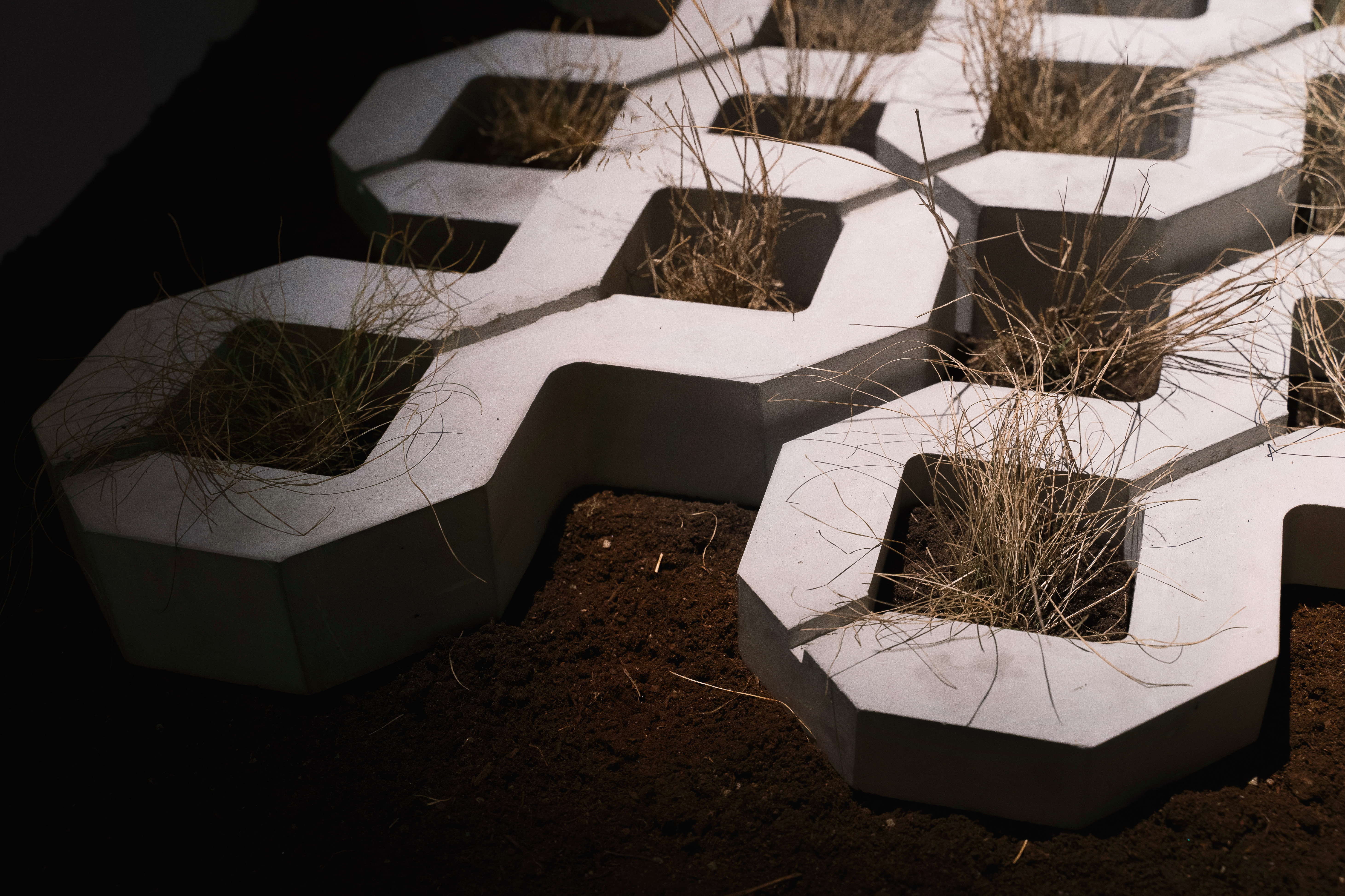 Photo: Malin Magnolia Karlsson