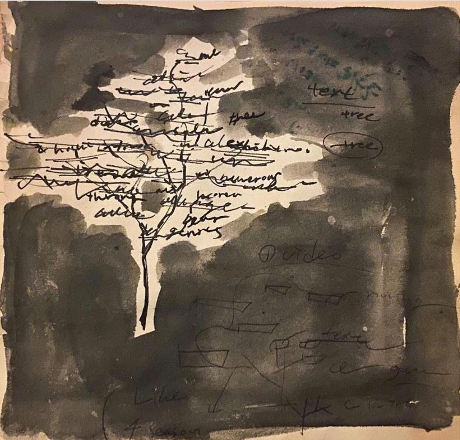 The Text Tree:The text that explores lost and found