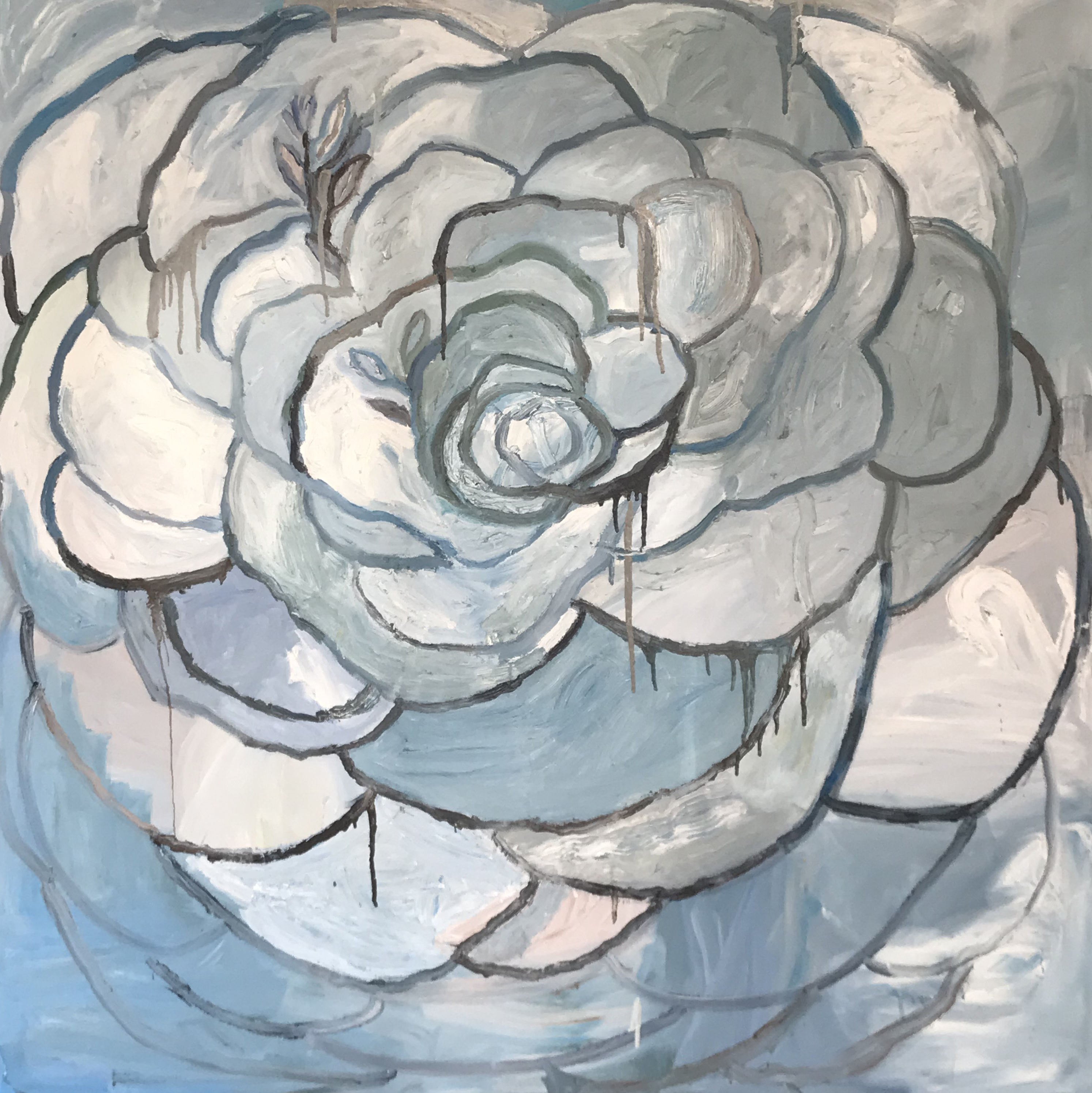 Oliver's Camellia, 2020, Oil on canvas 60"x60" in