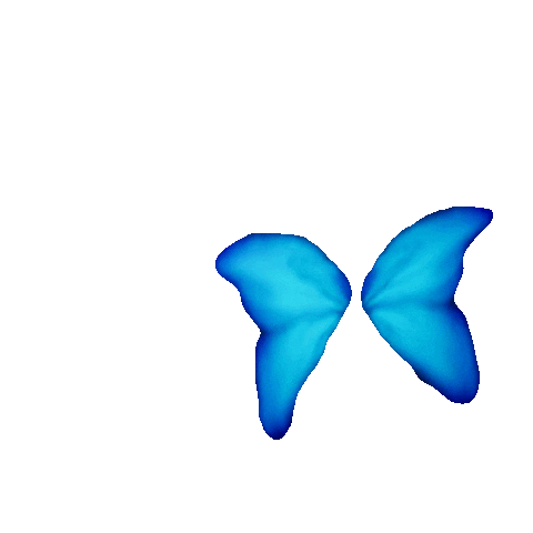 Butterfly Reference.gif