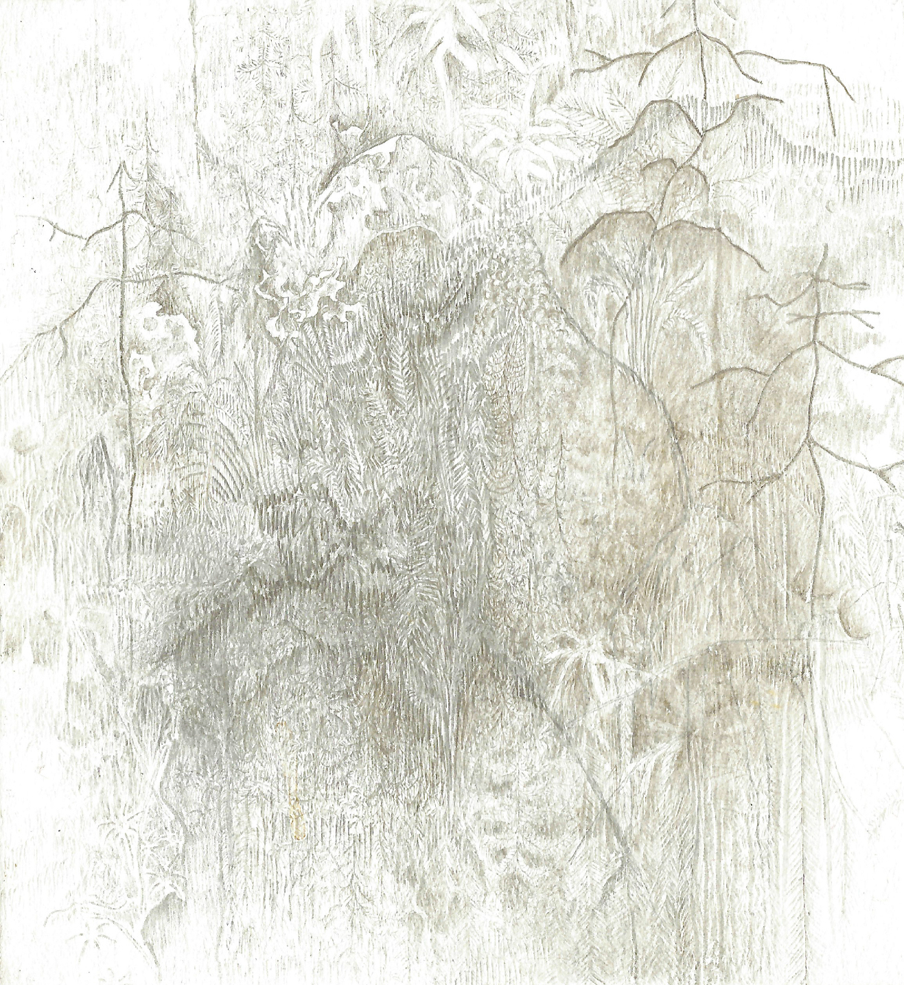 mosses of yosemite | 2016 | silverpoint on paper | 3.5 x 4 inches