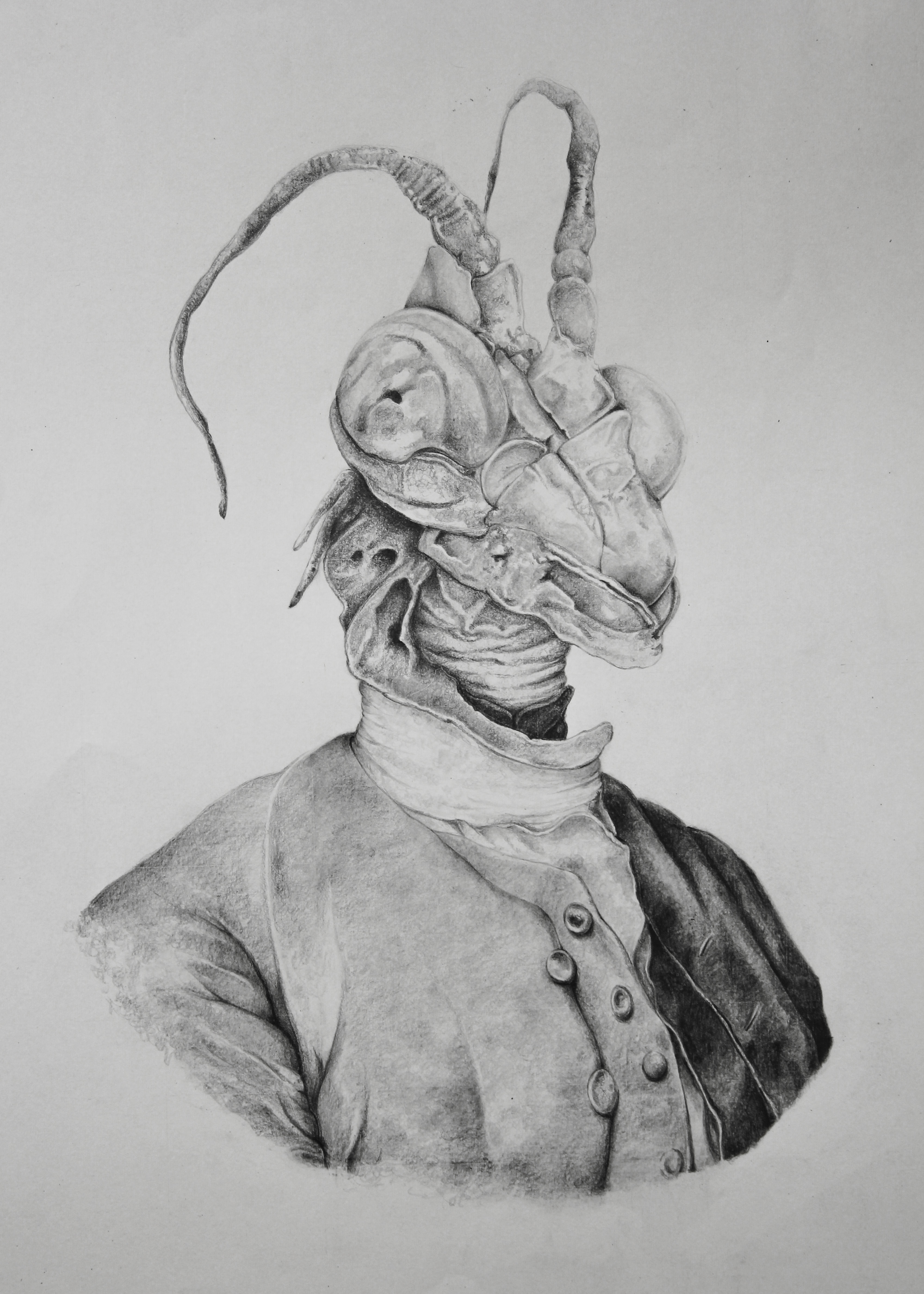 Specimen I. Graphite on paper, 64cm x 48cm, 2010