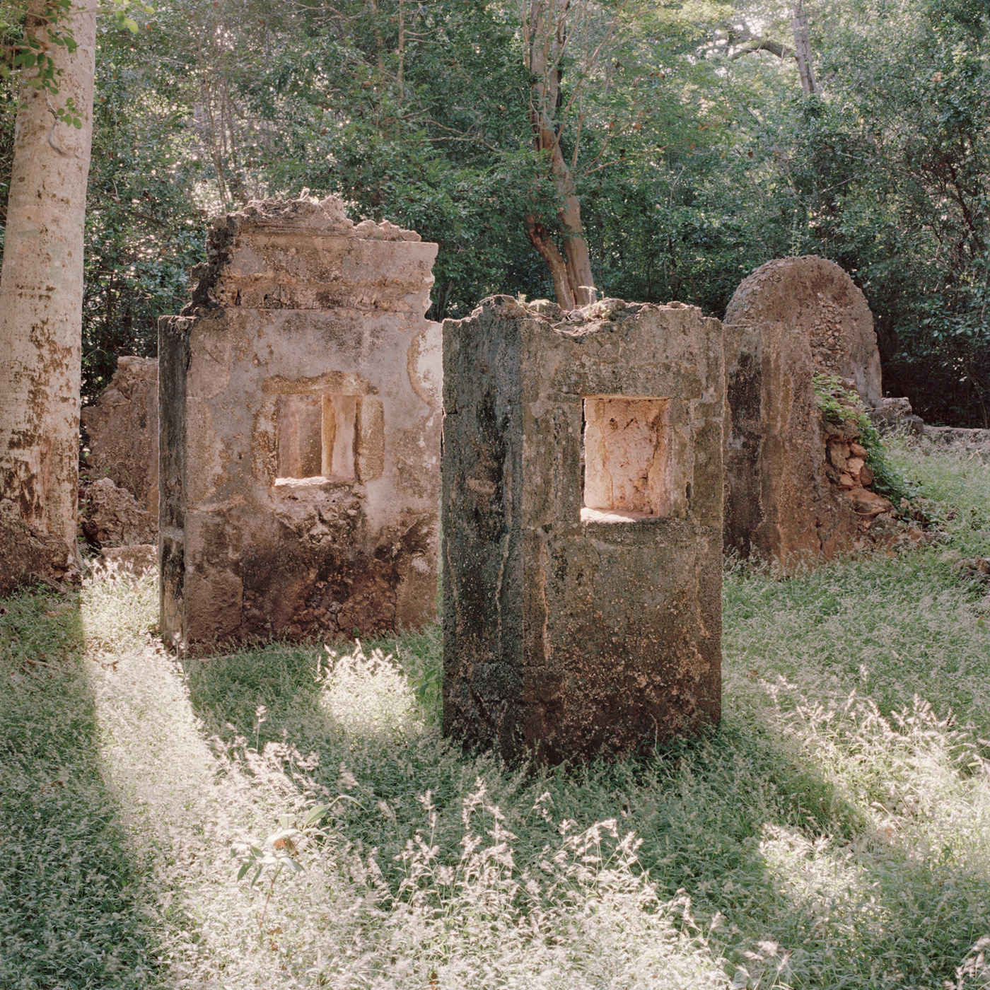 Gede Ruins I, 2019