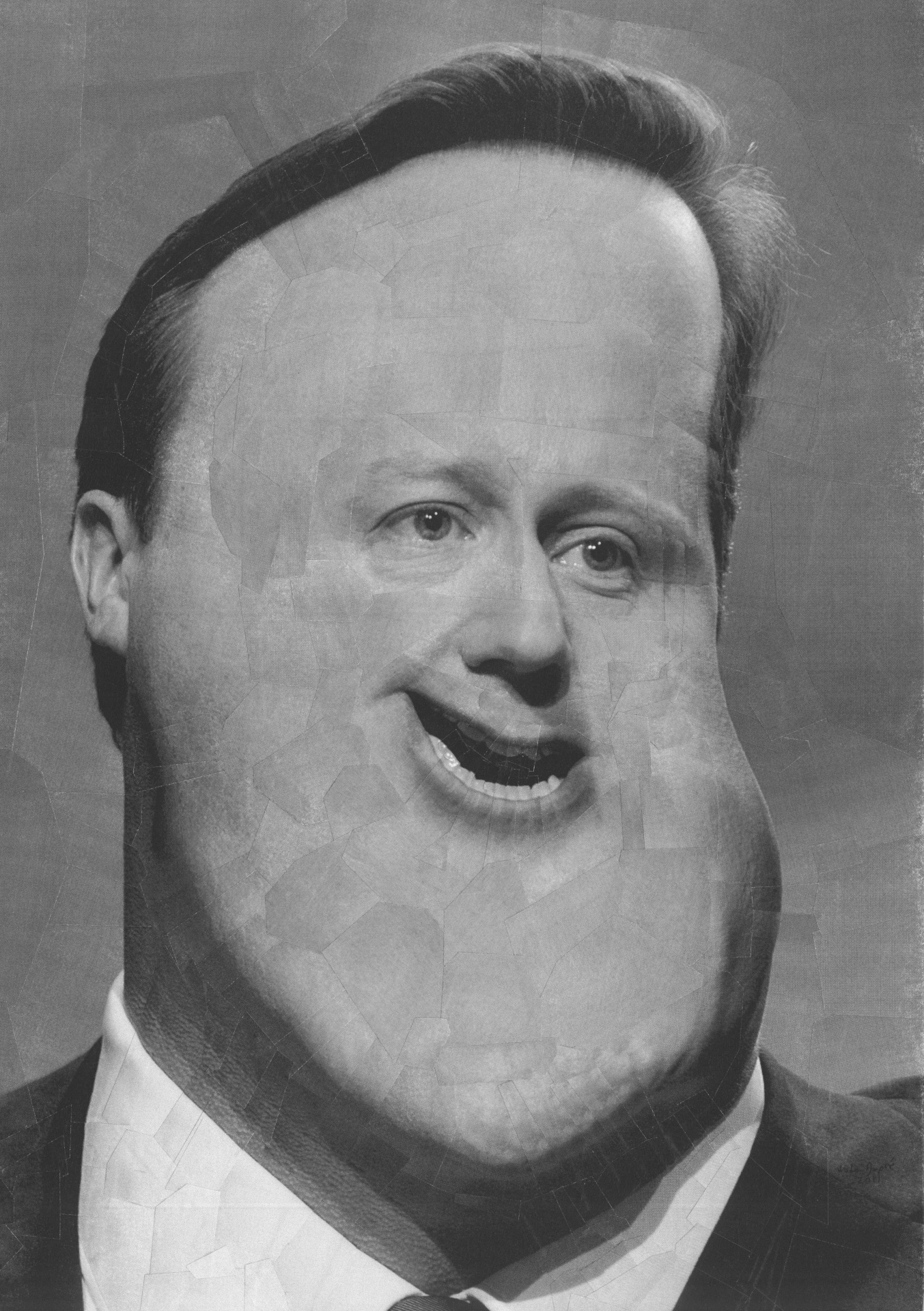 David Cameron 5, 2011, 8.2 x 11.6 inches