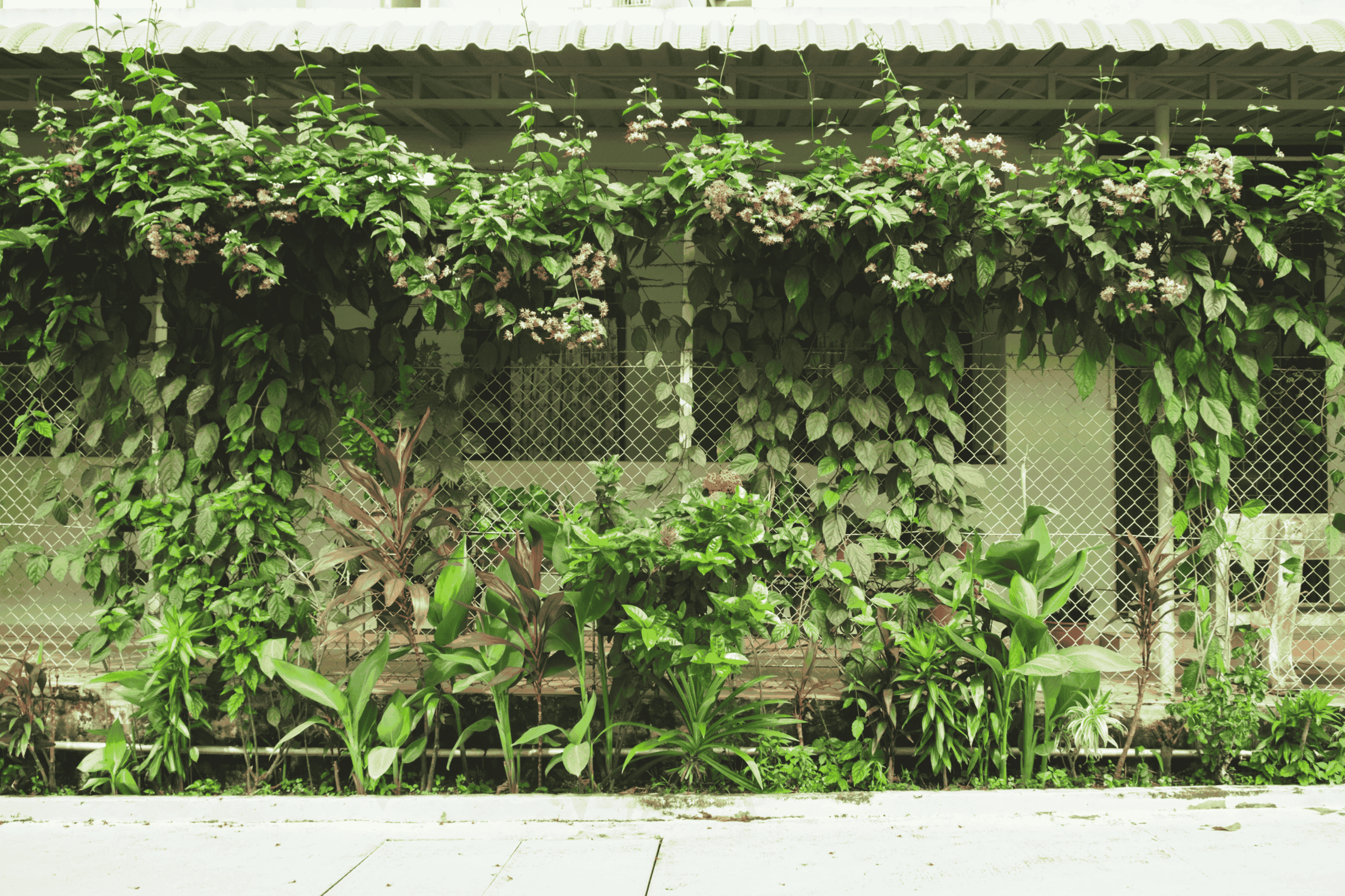 Image credits: Marvin Lee