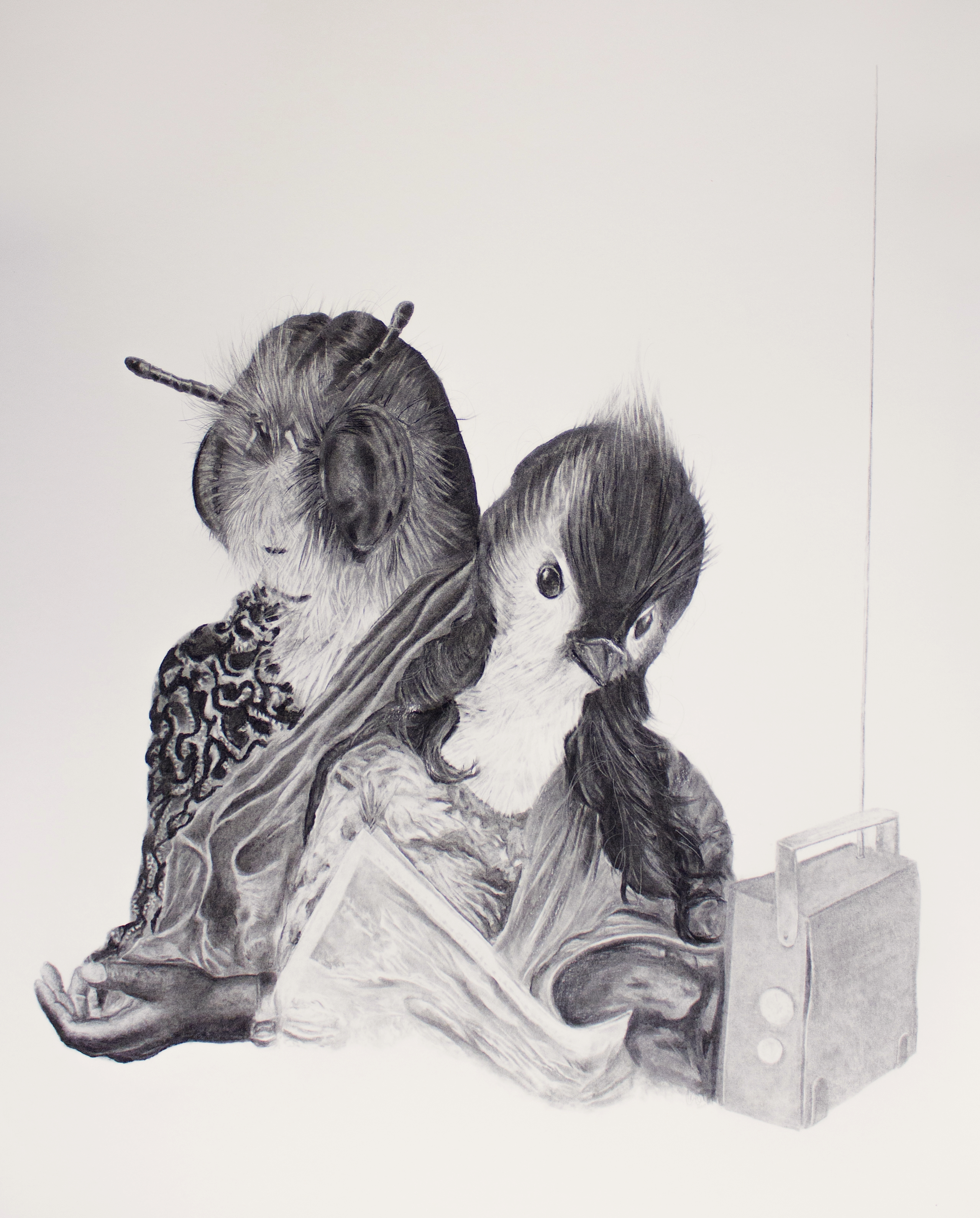 In the sweetness of our dreams, Graphite and Charcoal on Archival Paper, 1050mm x 830mm, 2018