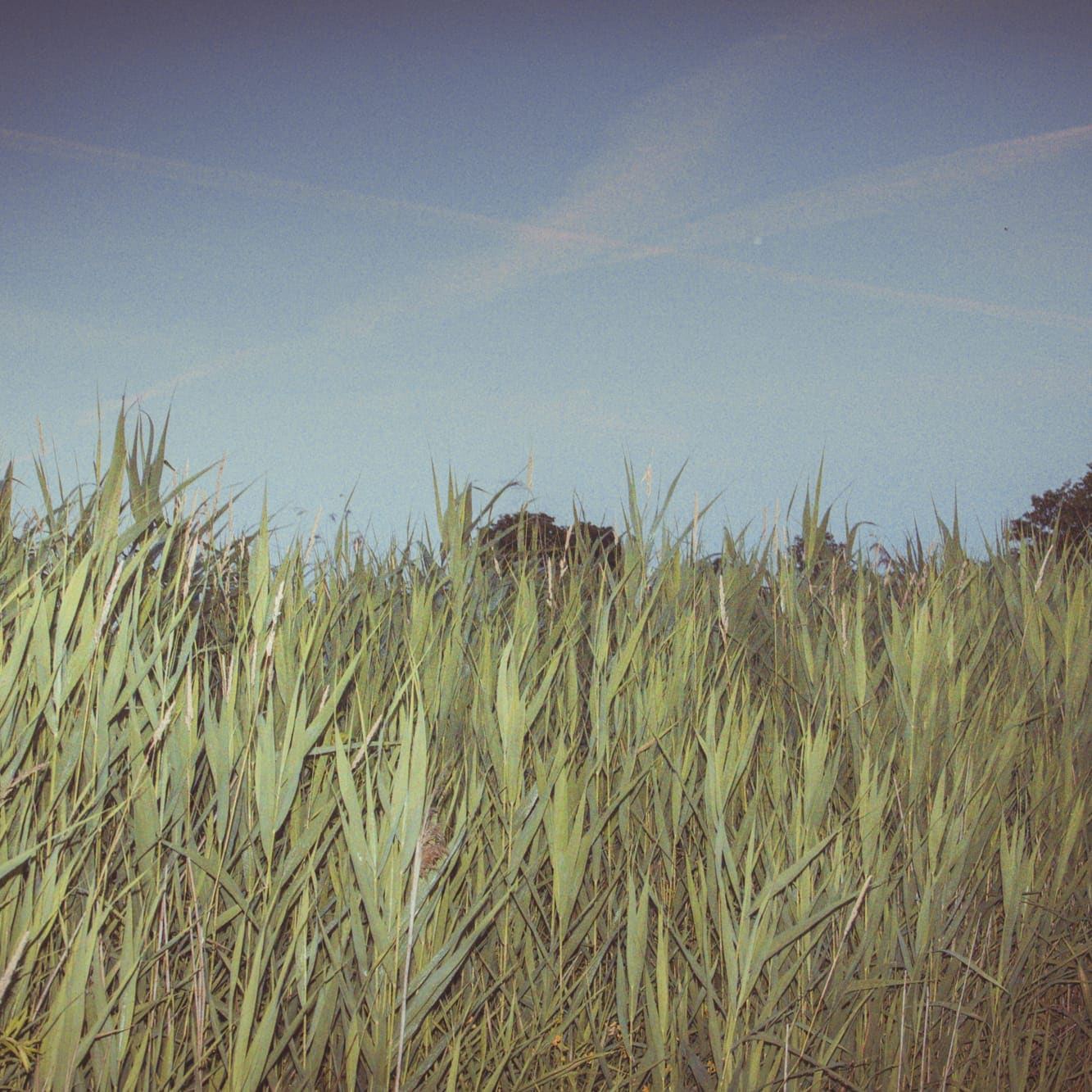 transience #36 with Lou Drago and A Space for Sound