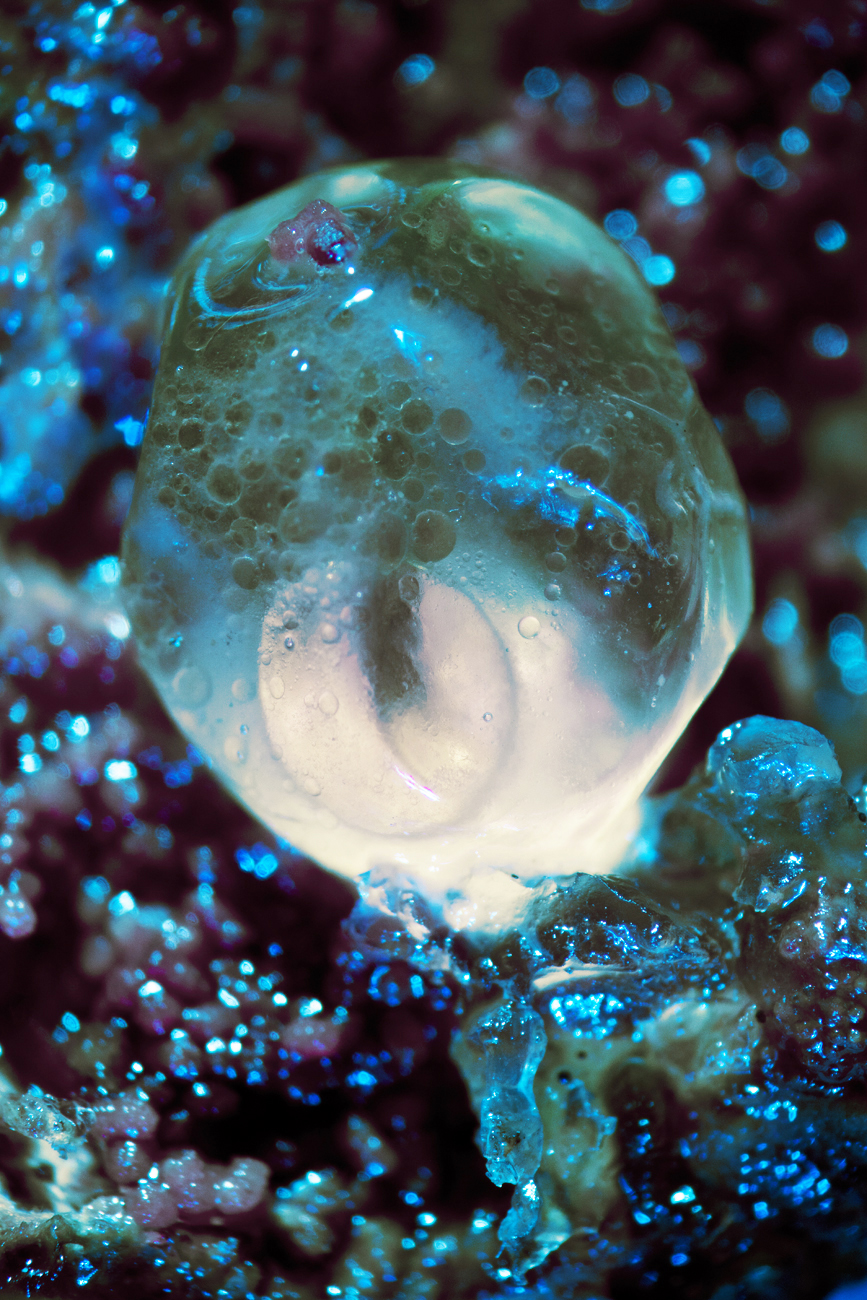 Luminous Embryo, 2019