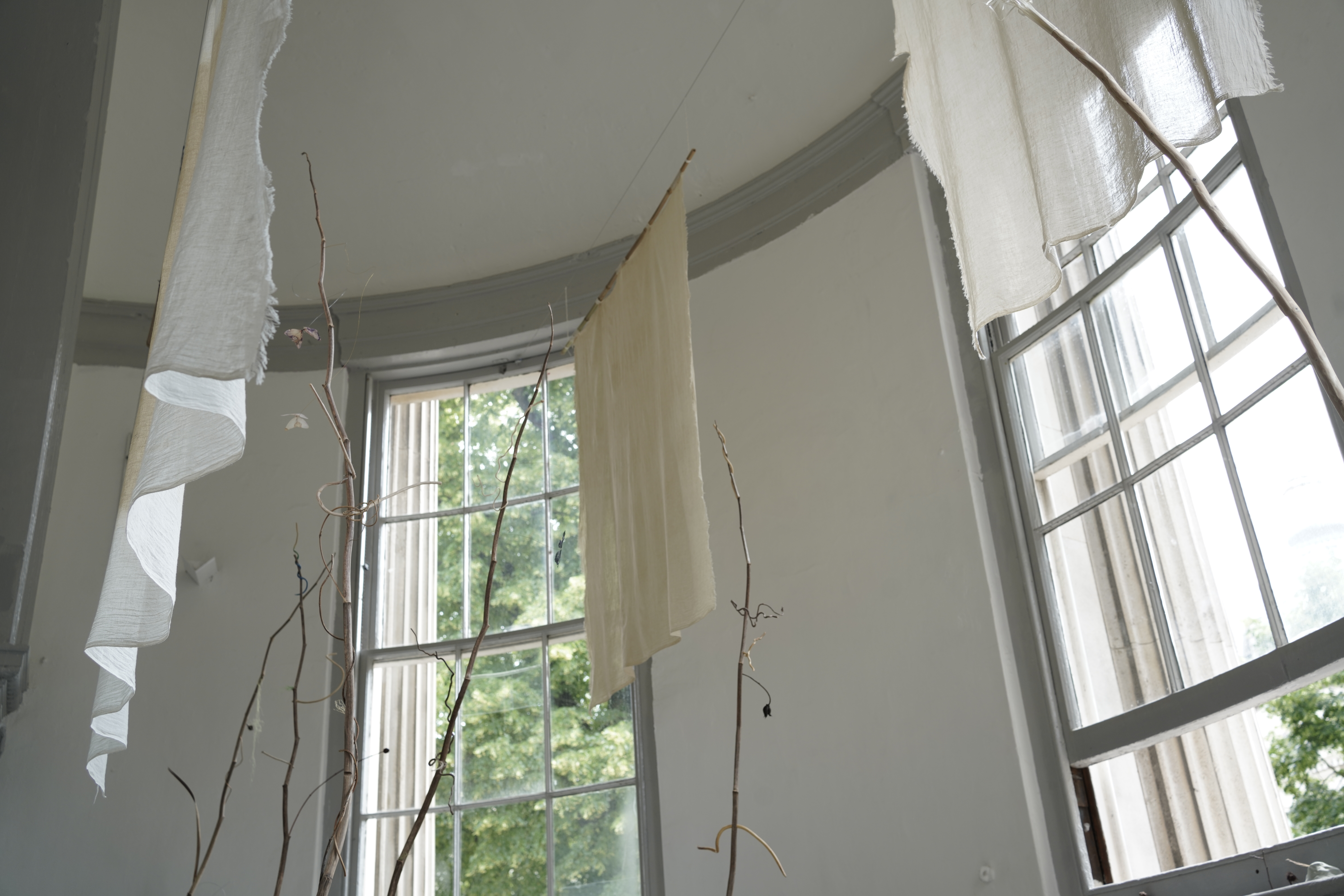 Photo credits Thea Wang