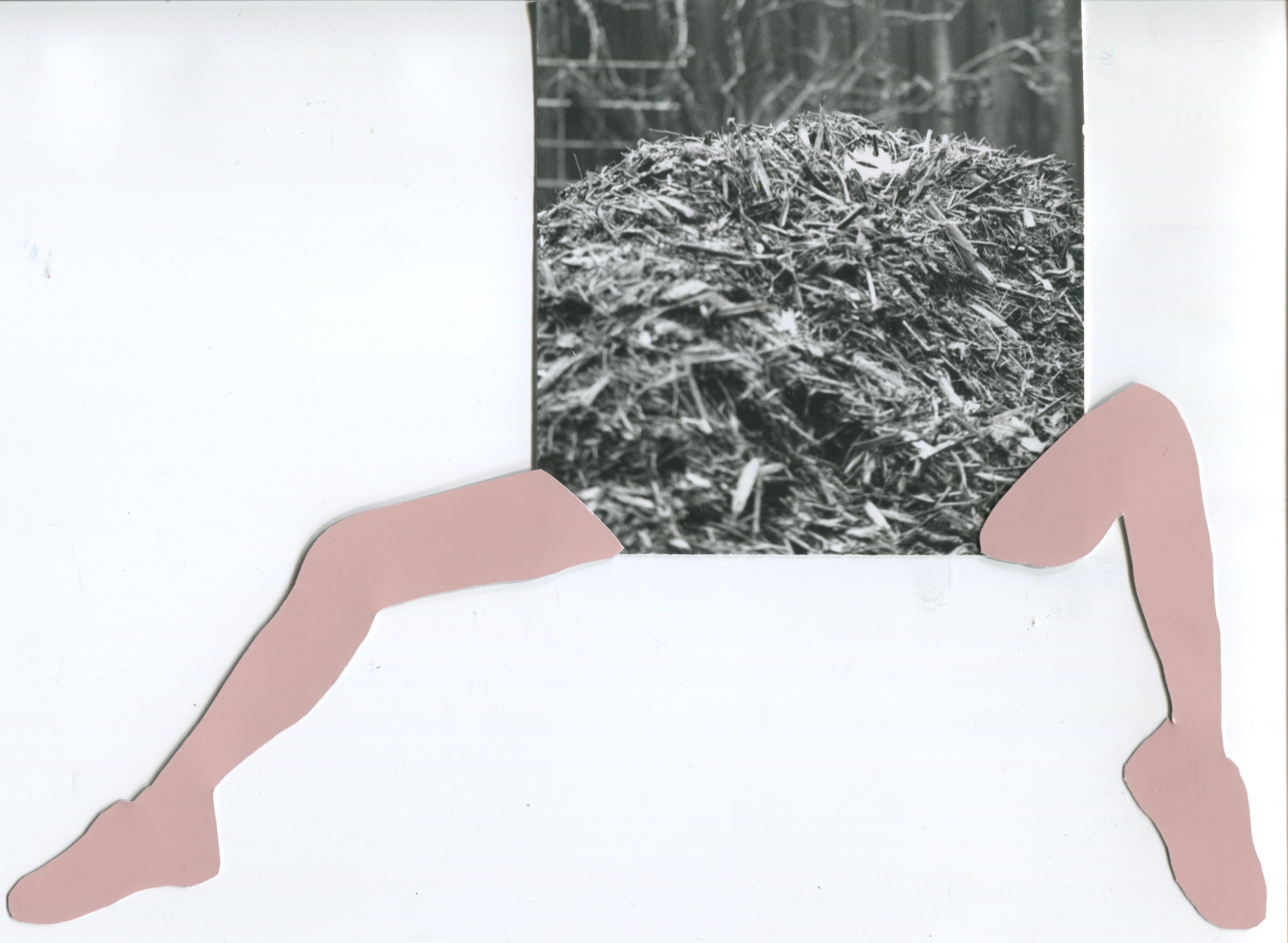 Pen Starr (she/they) / @doomedfrogeditions