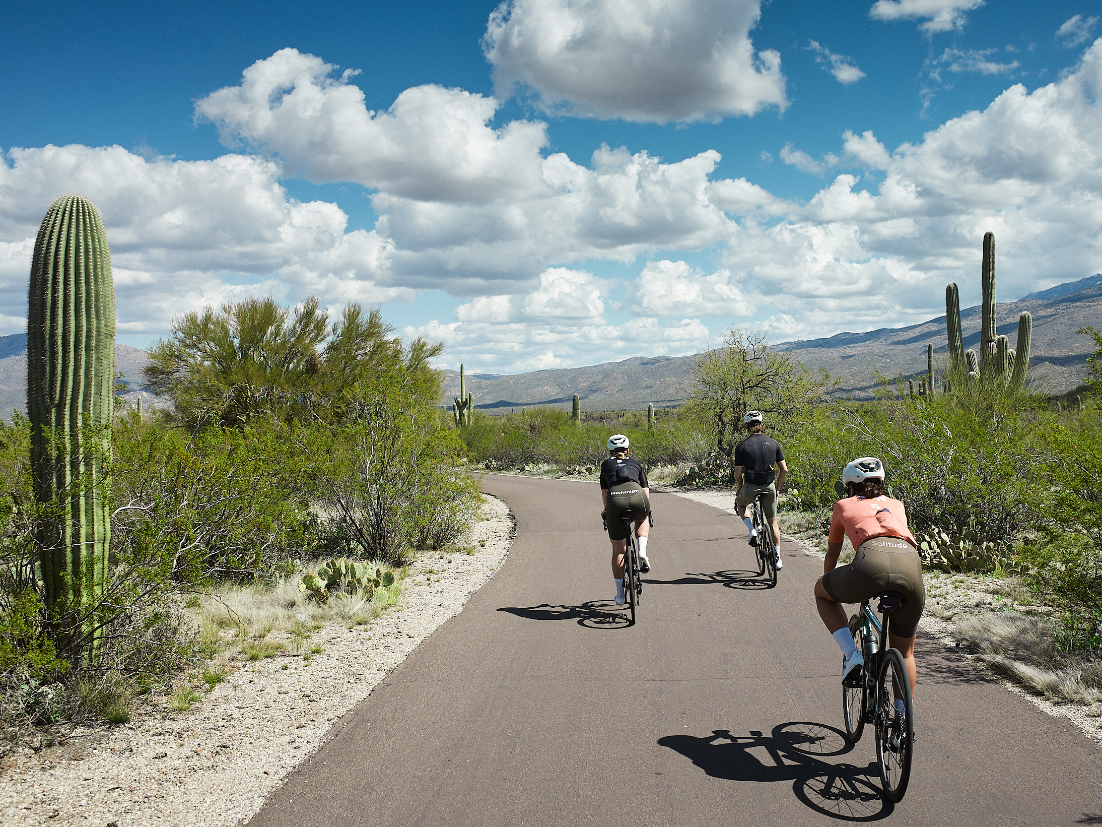 Cycling Through the Sonoran Desert