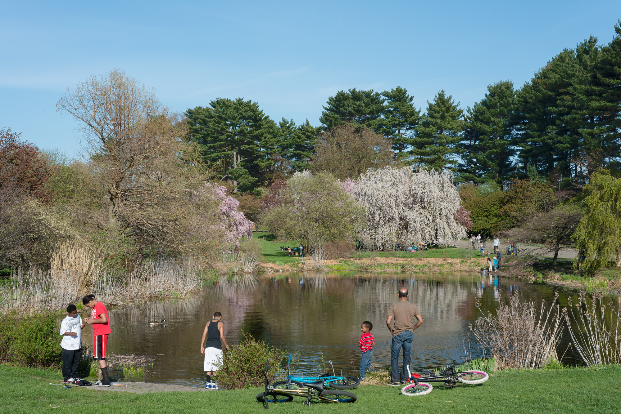 "By the Pond" 40"x60" archival inkjet print