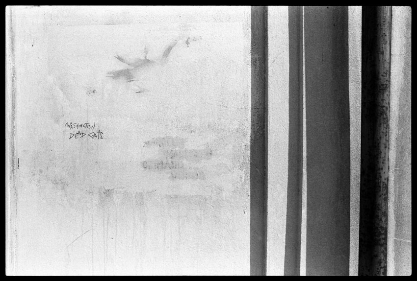 1984 Rue Montorgueil