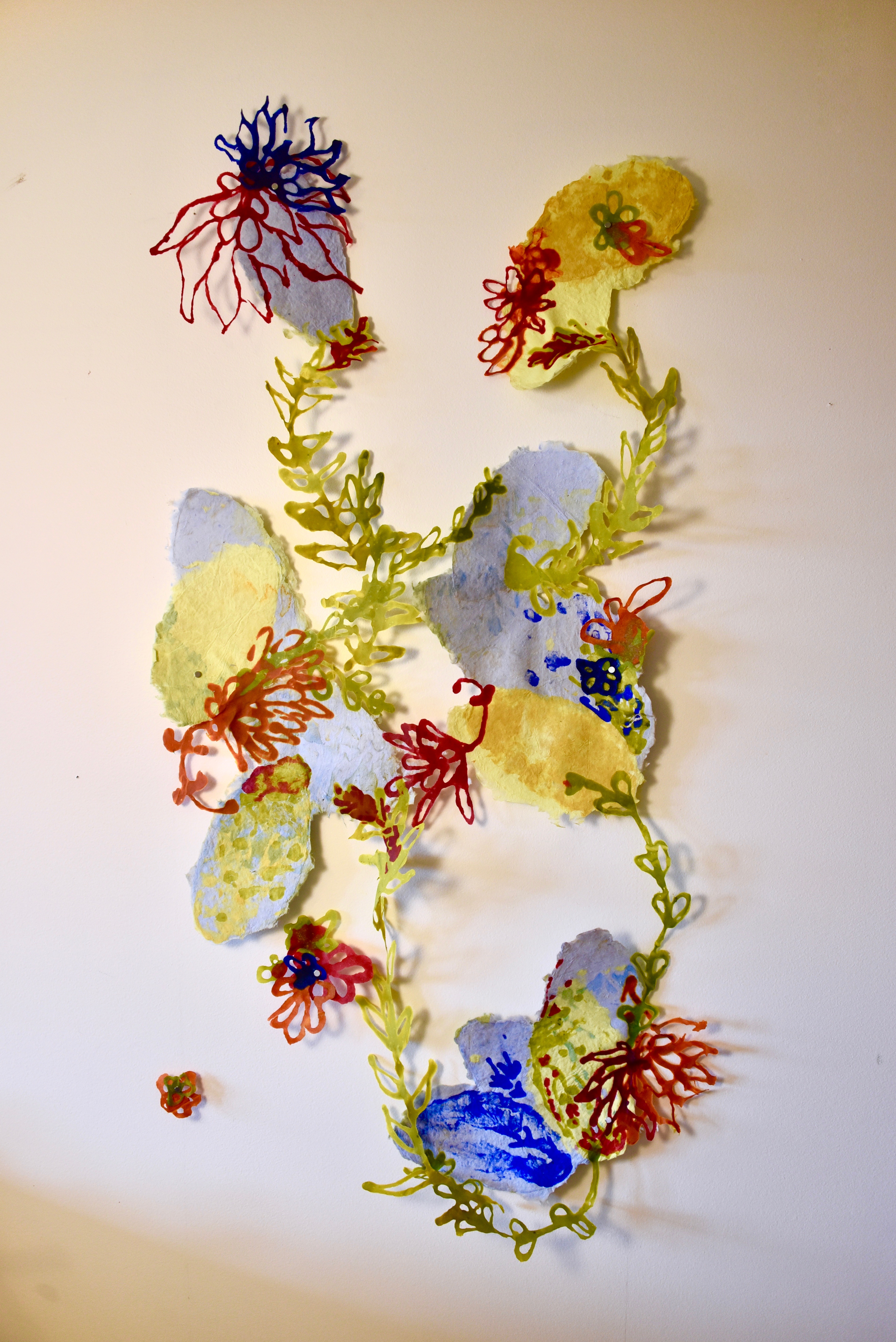 Orang Cina, Bukan Cina