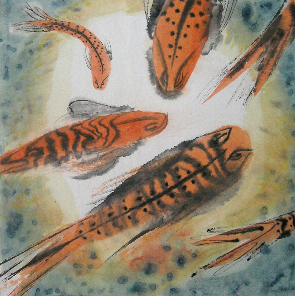 2016  fish / serranidae plectropomus, leopard coral trout / nr. 4 / 50 x 50 cm / sold