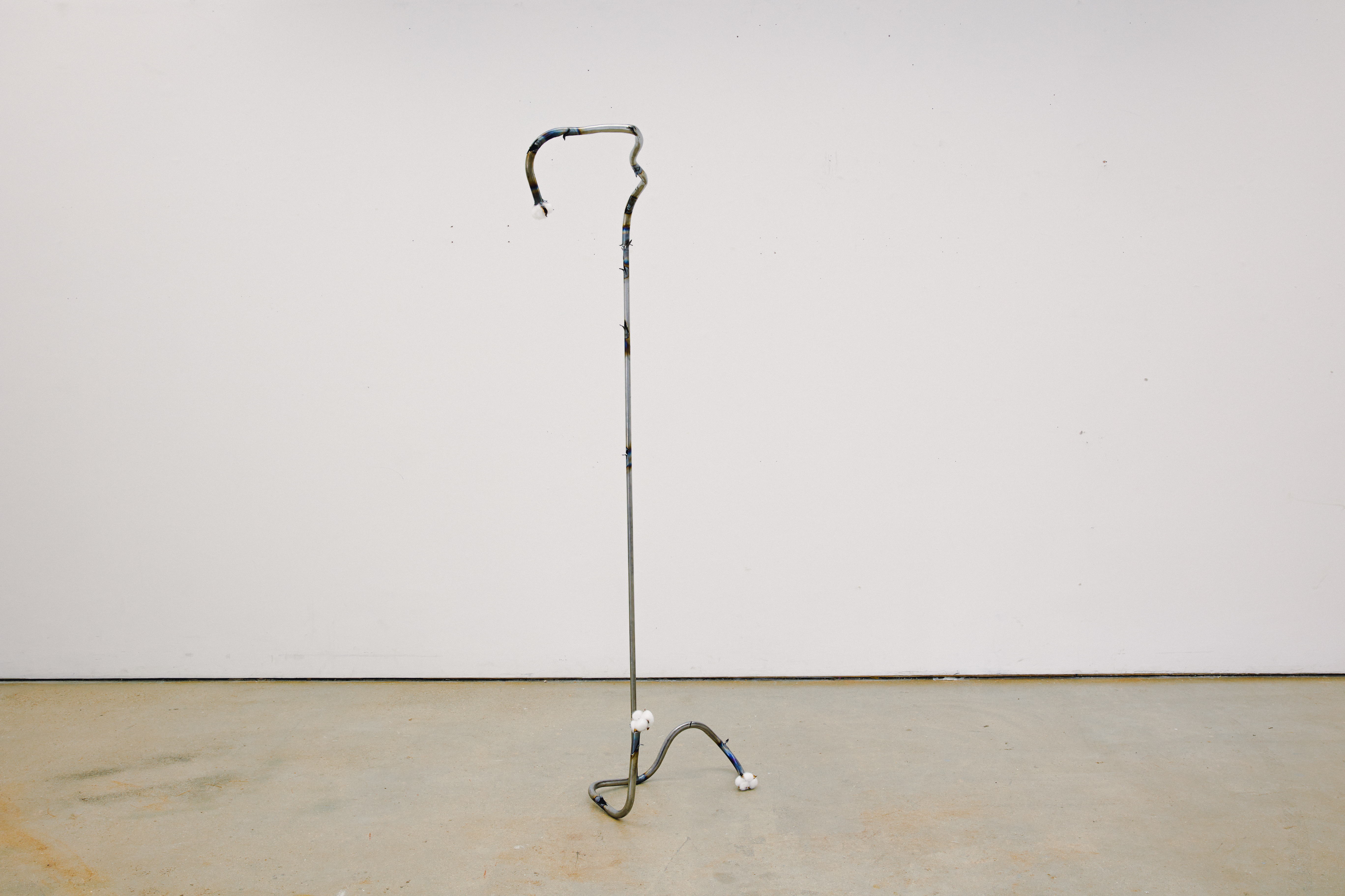 Cane and Able (Strange Fruit), 2025