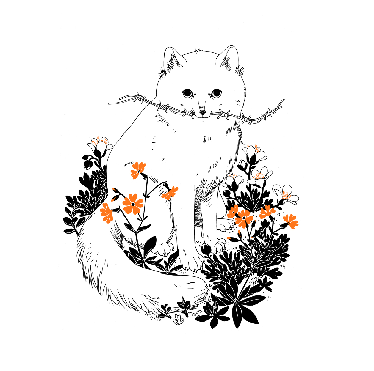 Oikeutta Eläimille, 2018