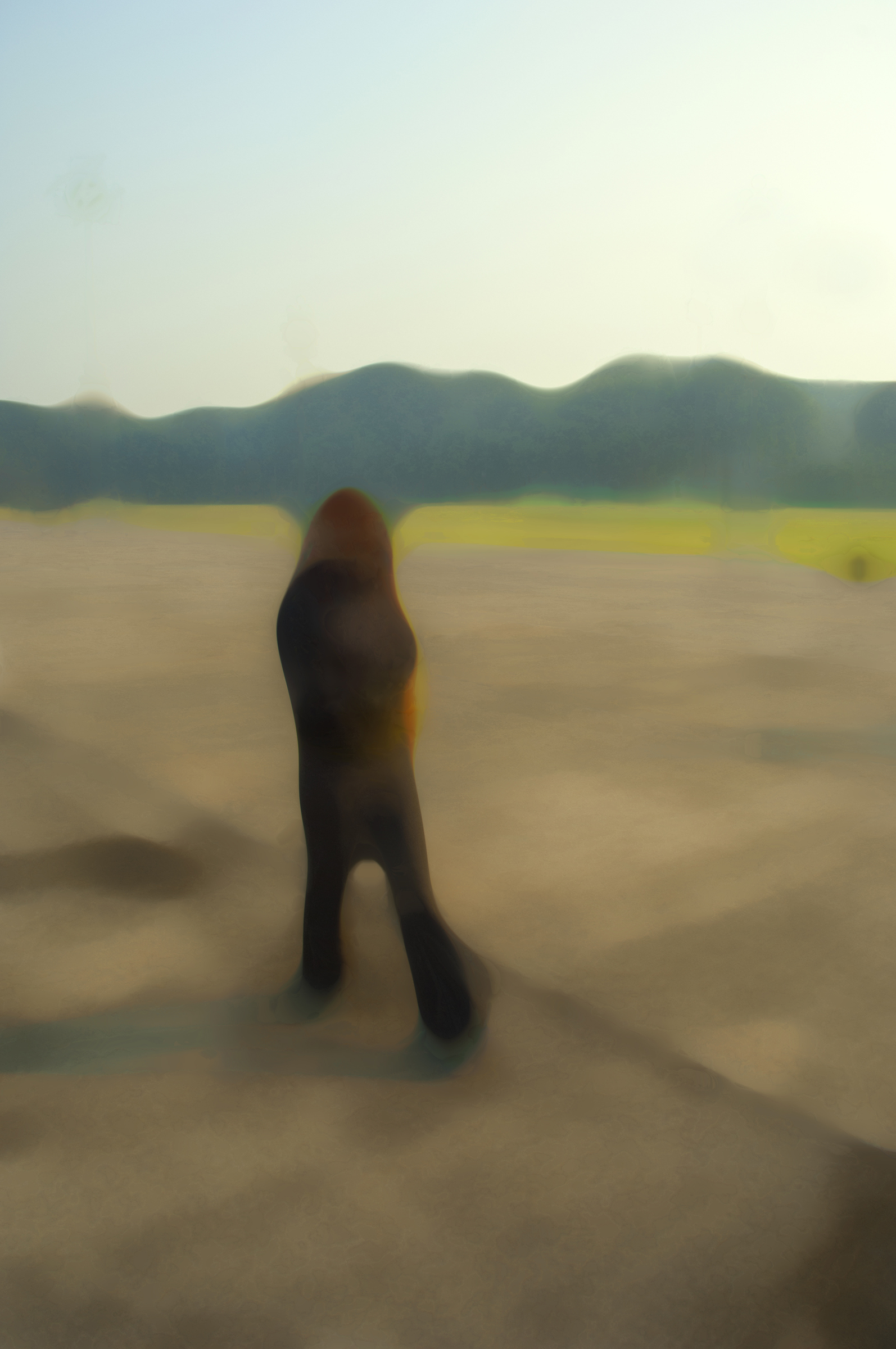 Lets be clear..., 20219/11