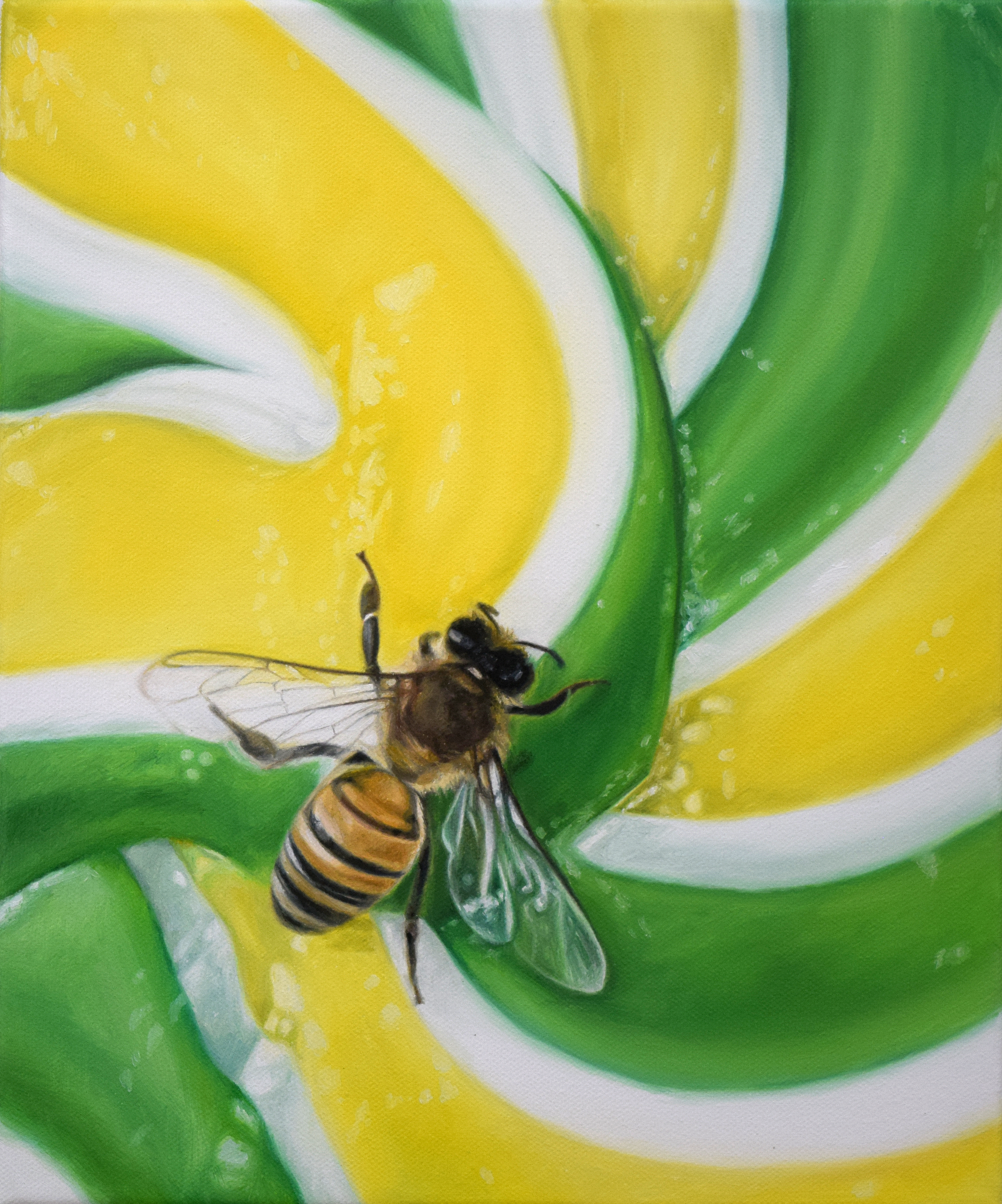 Bee II 2020 Oil on Canvas 12"x10"