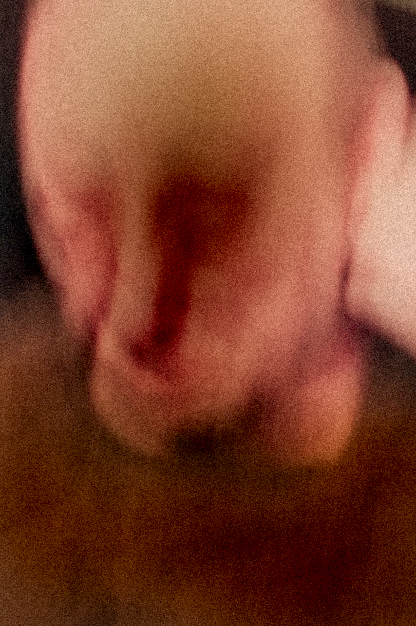 Les trembleurs, 2022