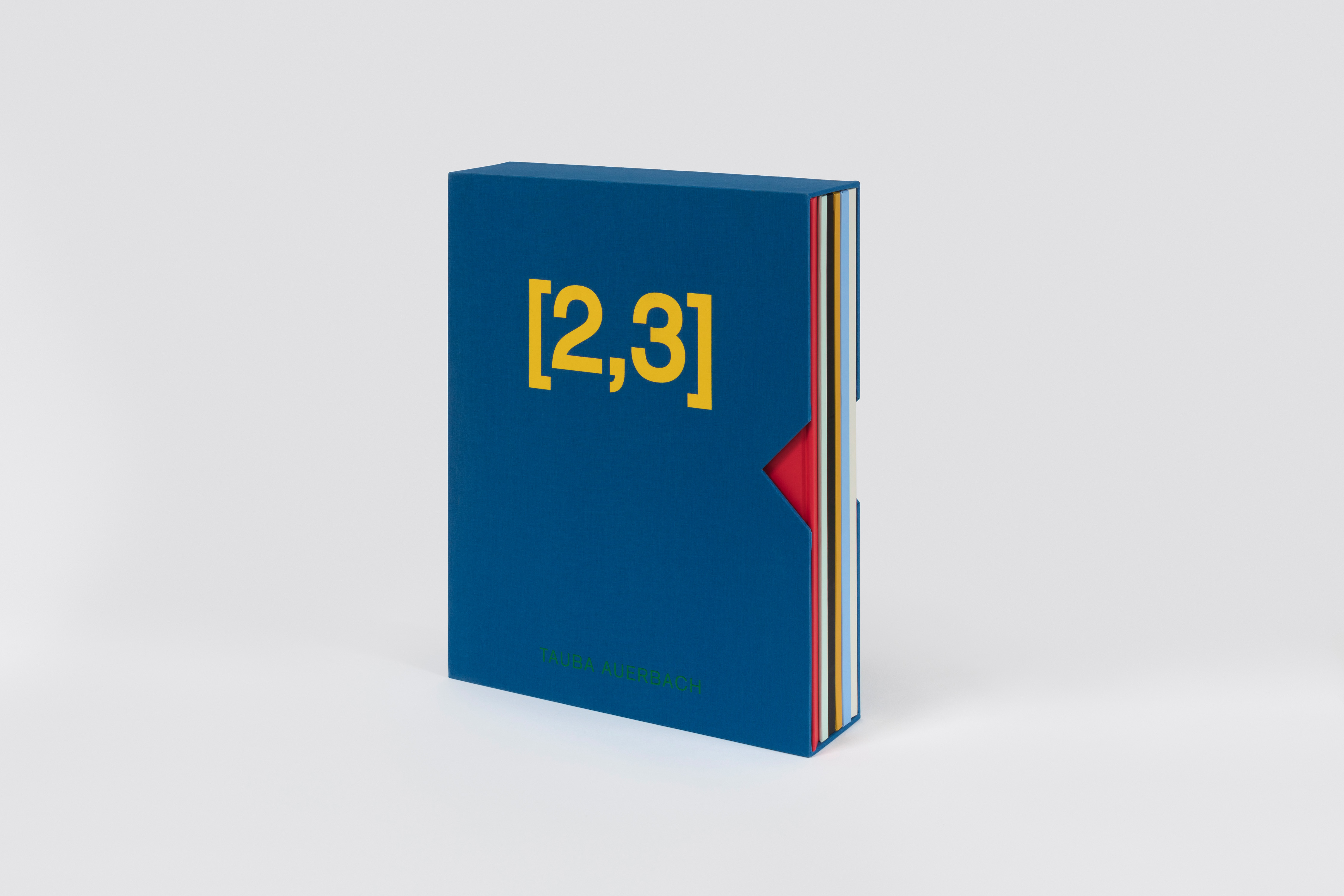 Tauba Auerbach / Paula Cooper Gallery