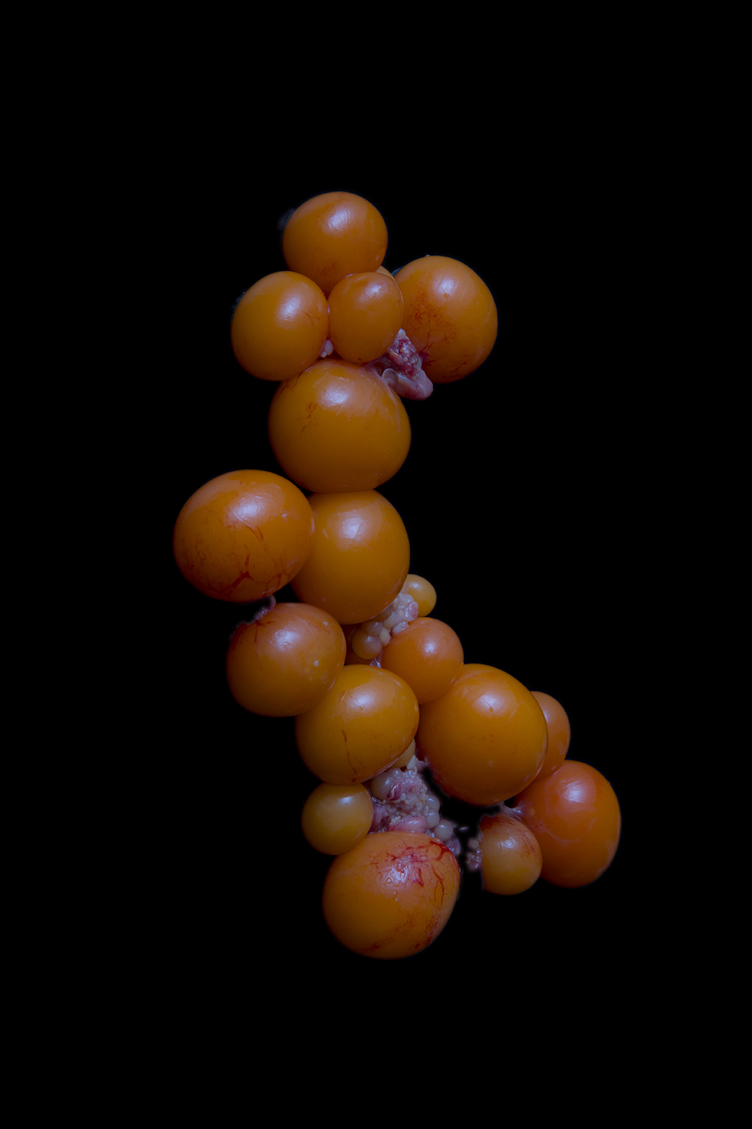 PHOTOGRAPHY BY RAF STUDIO for ETAPES MAGAZINE