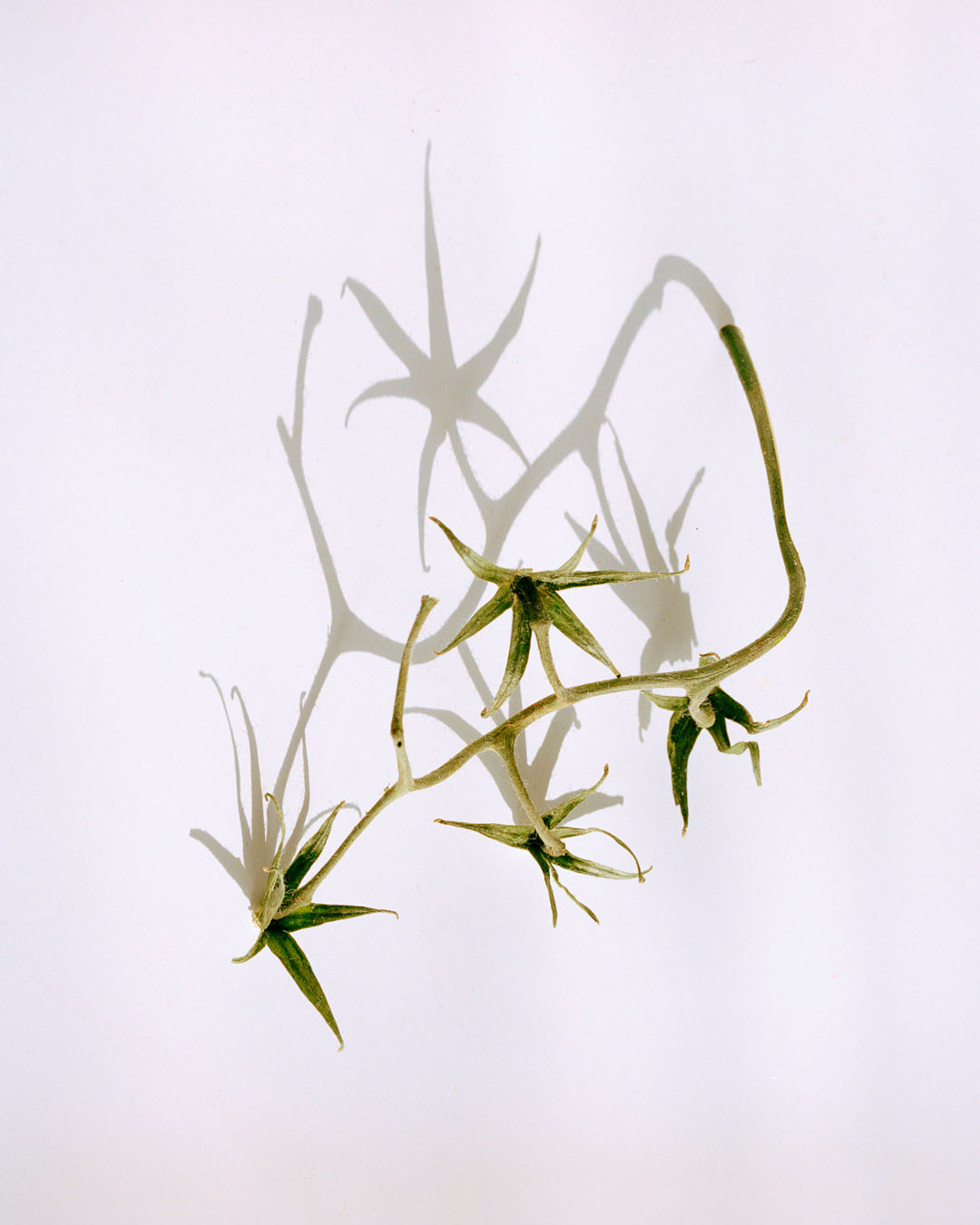 UNPUBLISHED, EN VOLS, 2023