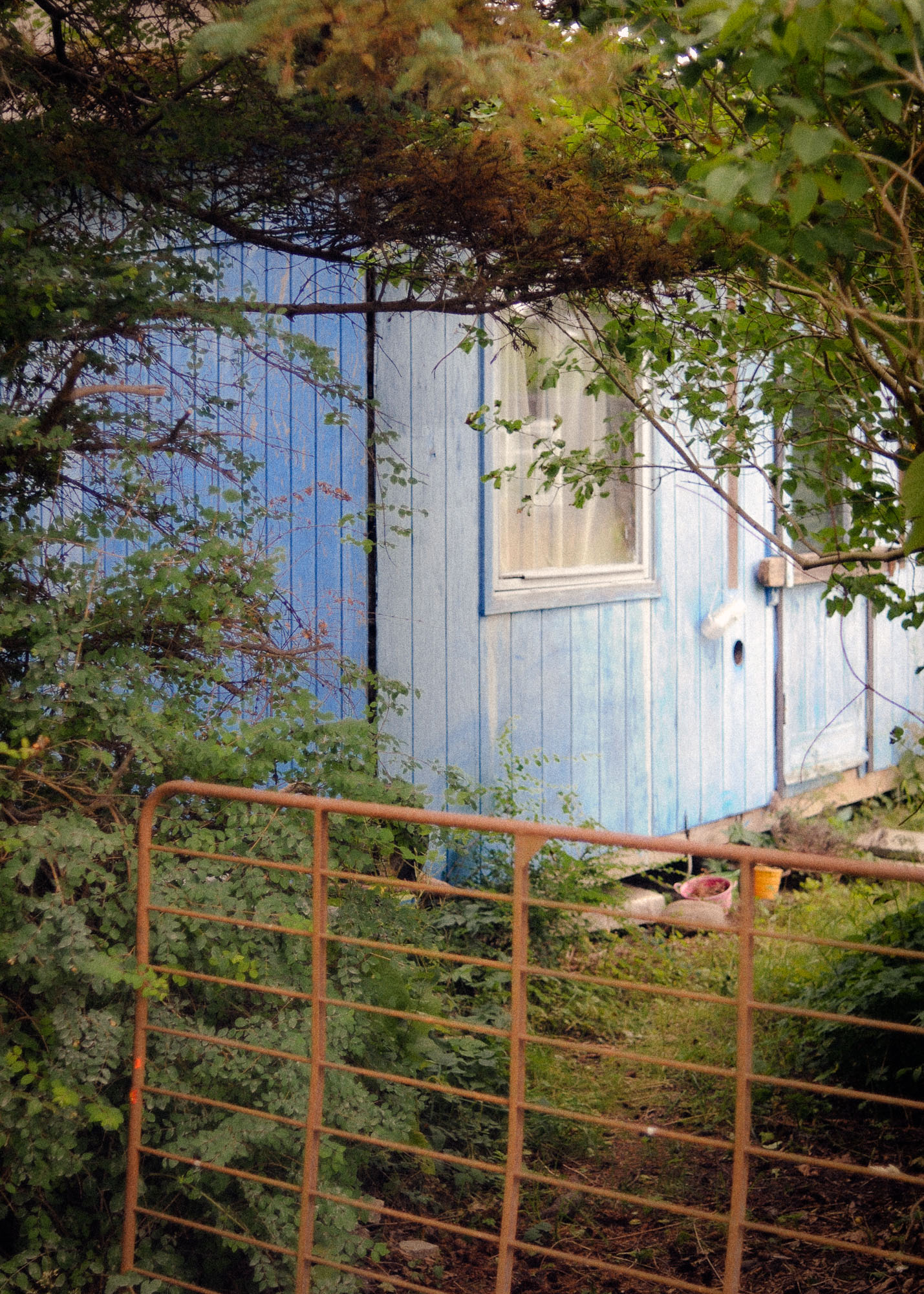 FV_Series_004_IMG_17_Blue_Cabin