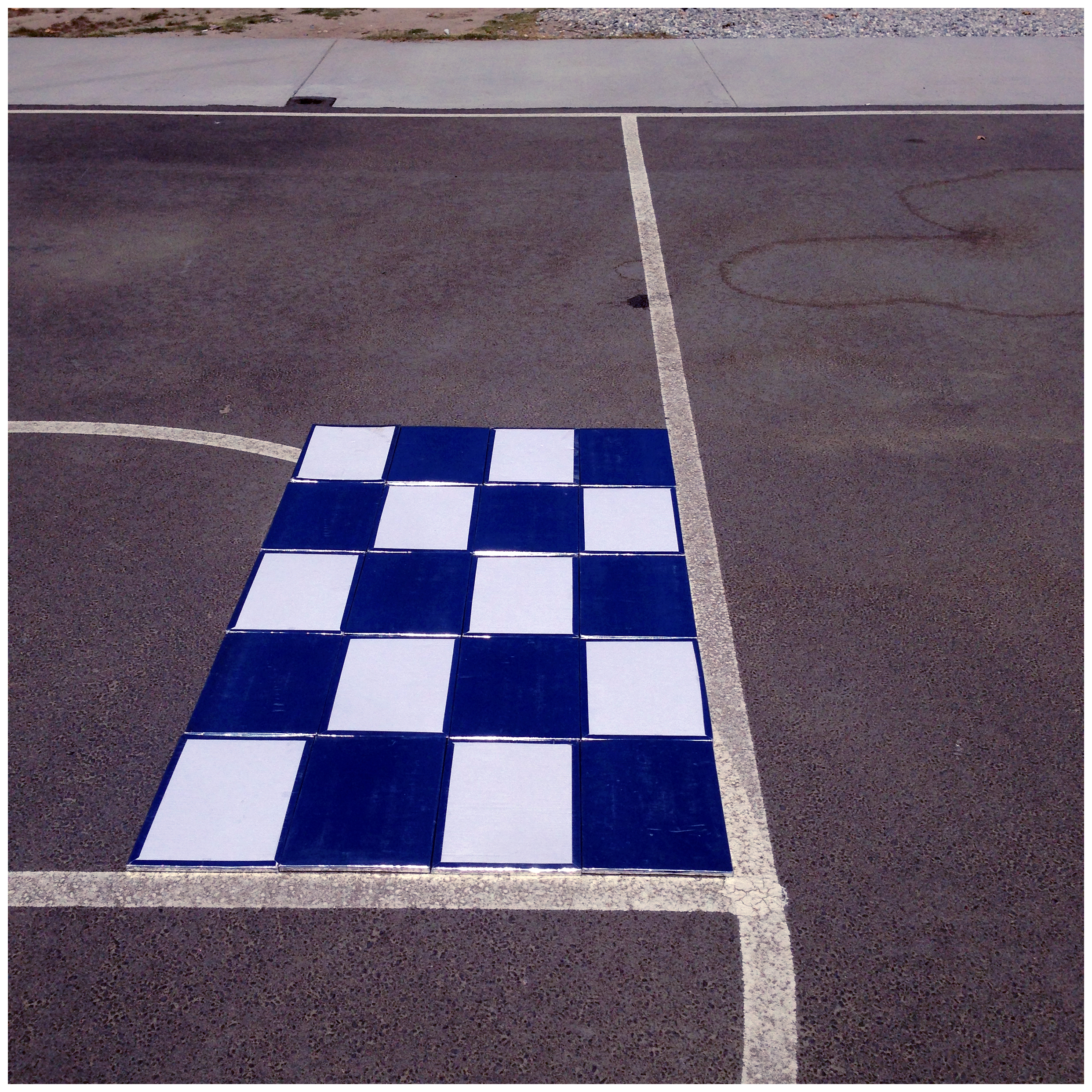 A Shoot Is Produced at the Base of the Stem, 2015Smartphone image34 x 34 in.86.36 x 86.36 cm