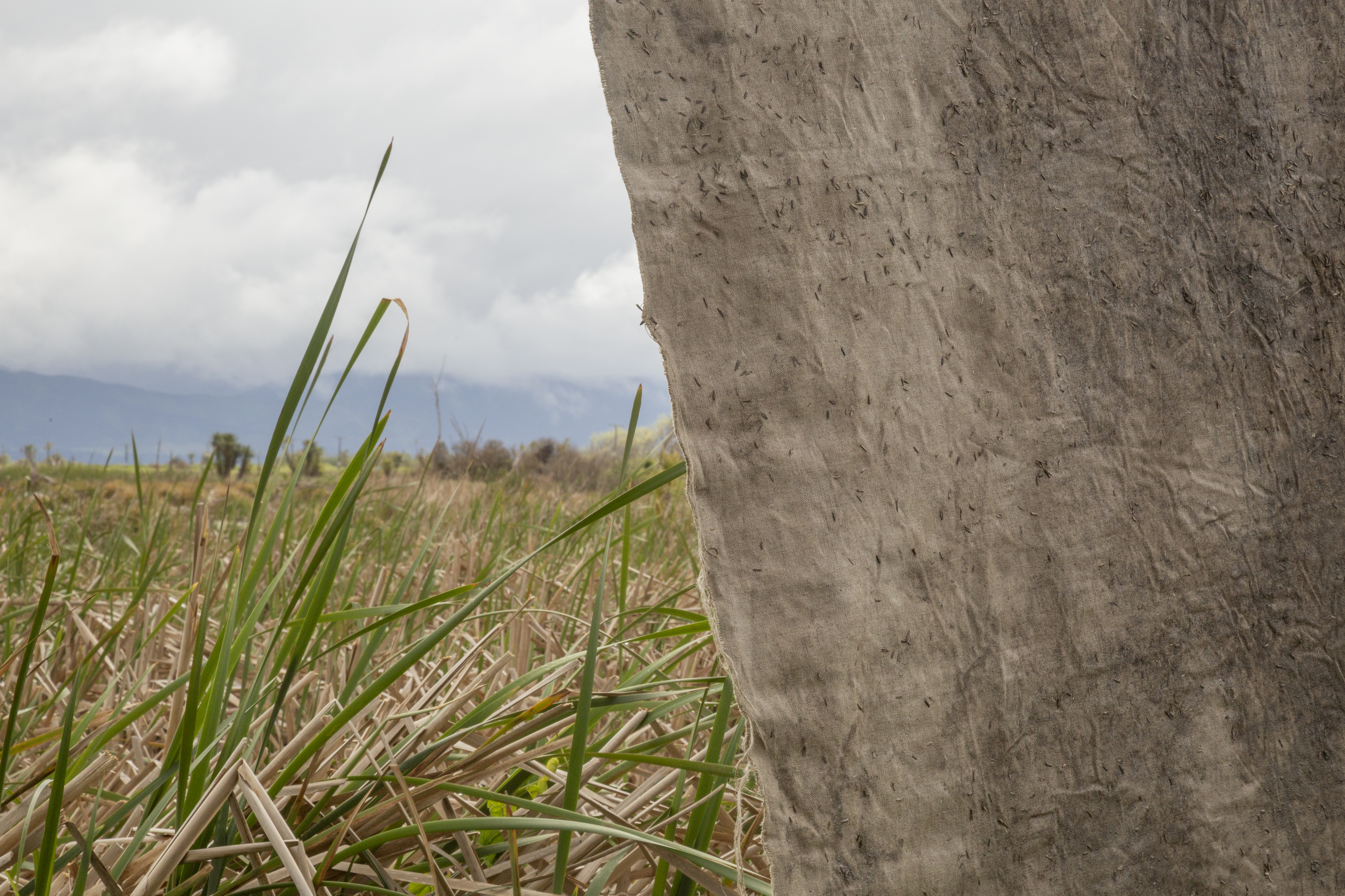 traces left behind and imprints silently borne installed at Boggy Pond, Wairarapa Moana