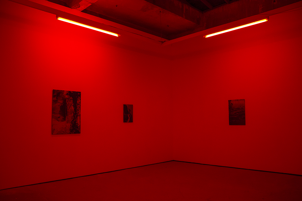  Chemically unfixed silver gelatin photographs, red darkroom safelight. Installation view, Copeland Gallery.