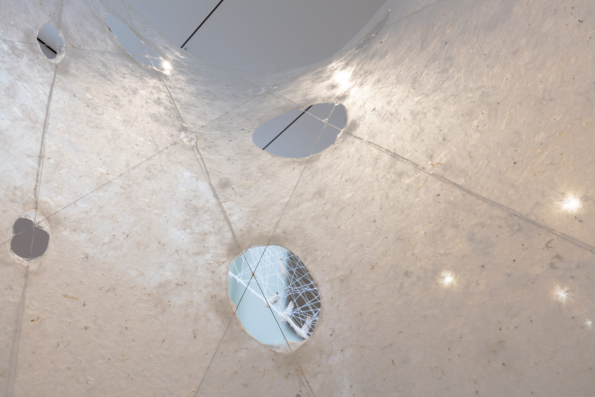 Silk Pavilion II, MIT Media Lab Mediated Matter Group, 2019; Image source: Museum of Modern Art