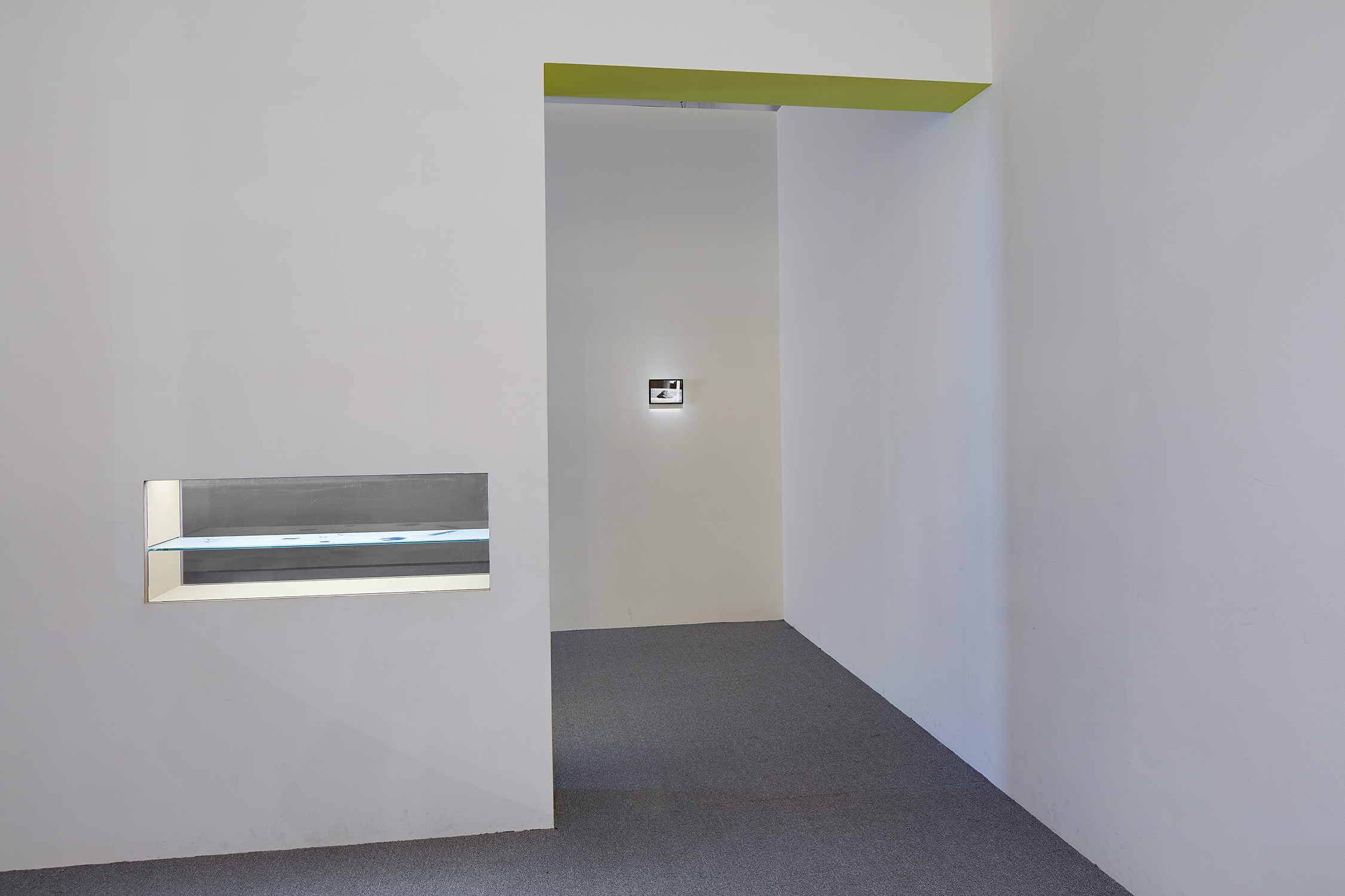 2017「集什麼」臺北市立美術館兒童藝術教育中心 “Collecting and son on”, Children’s art Education Center, Taipei Fine Arts Museum