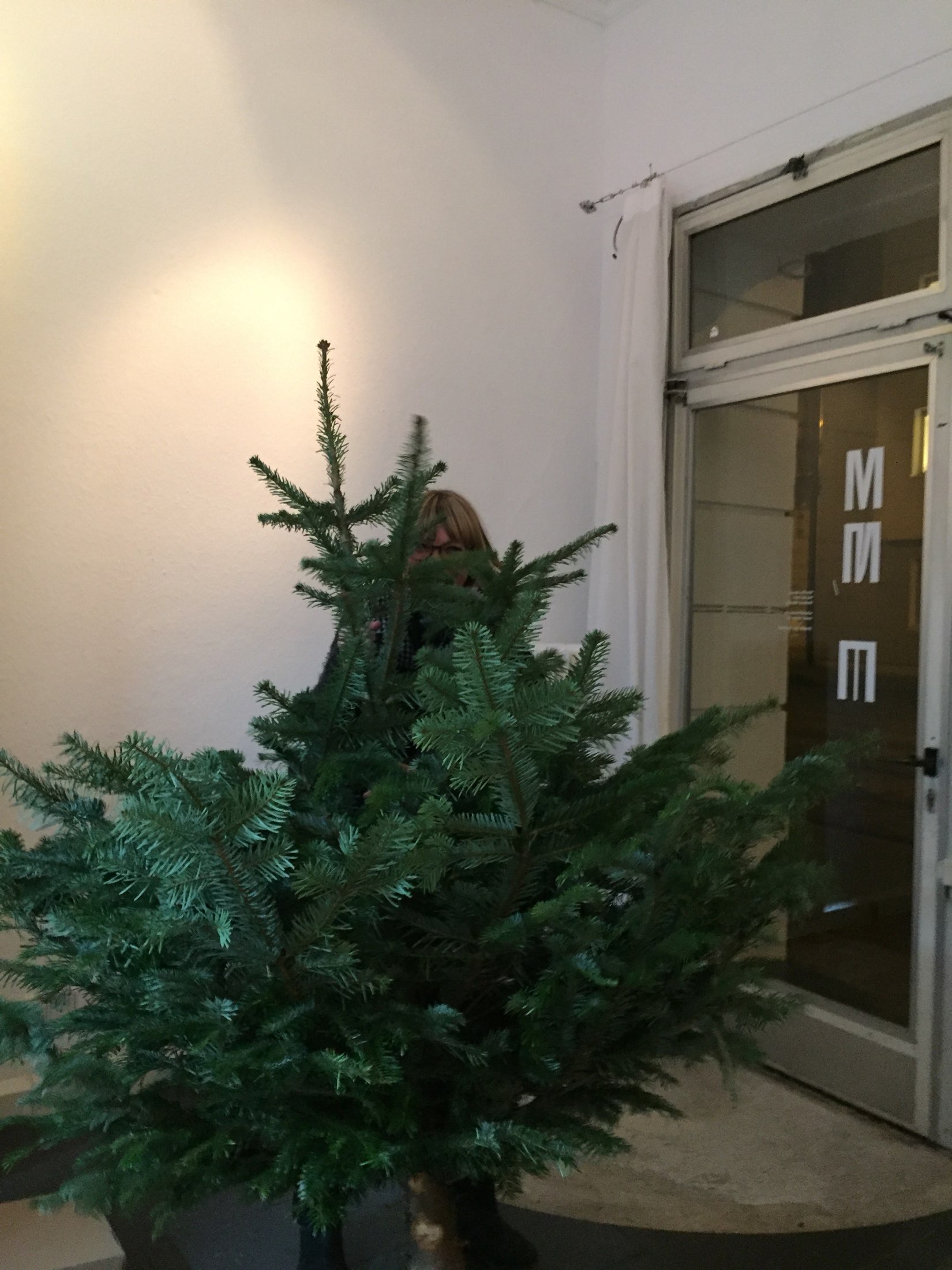 da-da-da 3: Die Weihnachtsbäume finden ein neues Zuhause