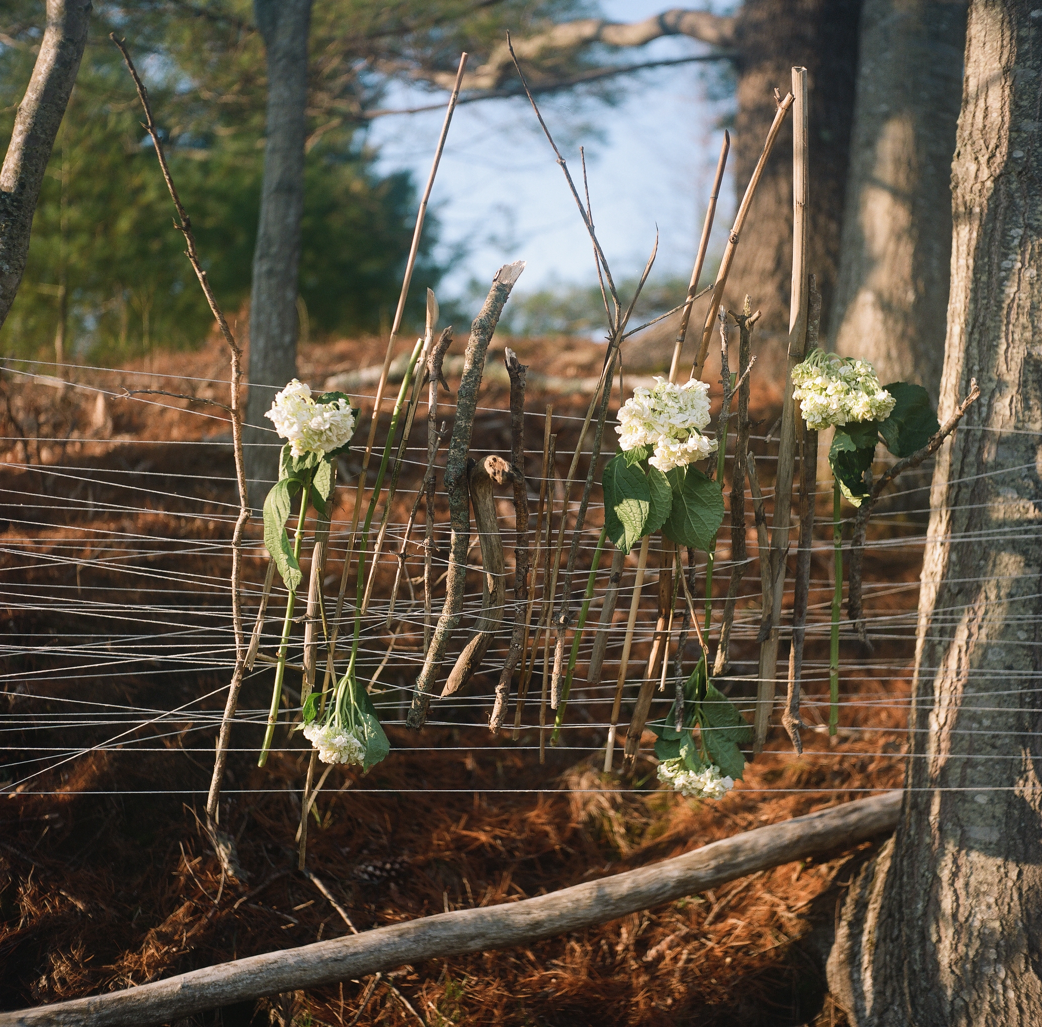 2021 (piece by Helena Jefferson)