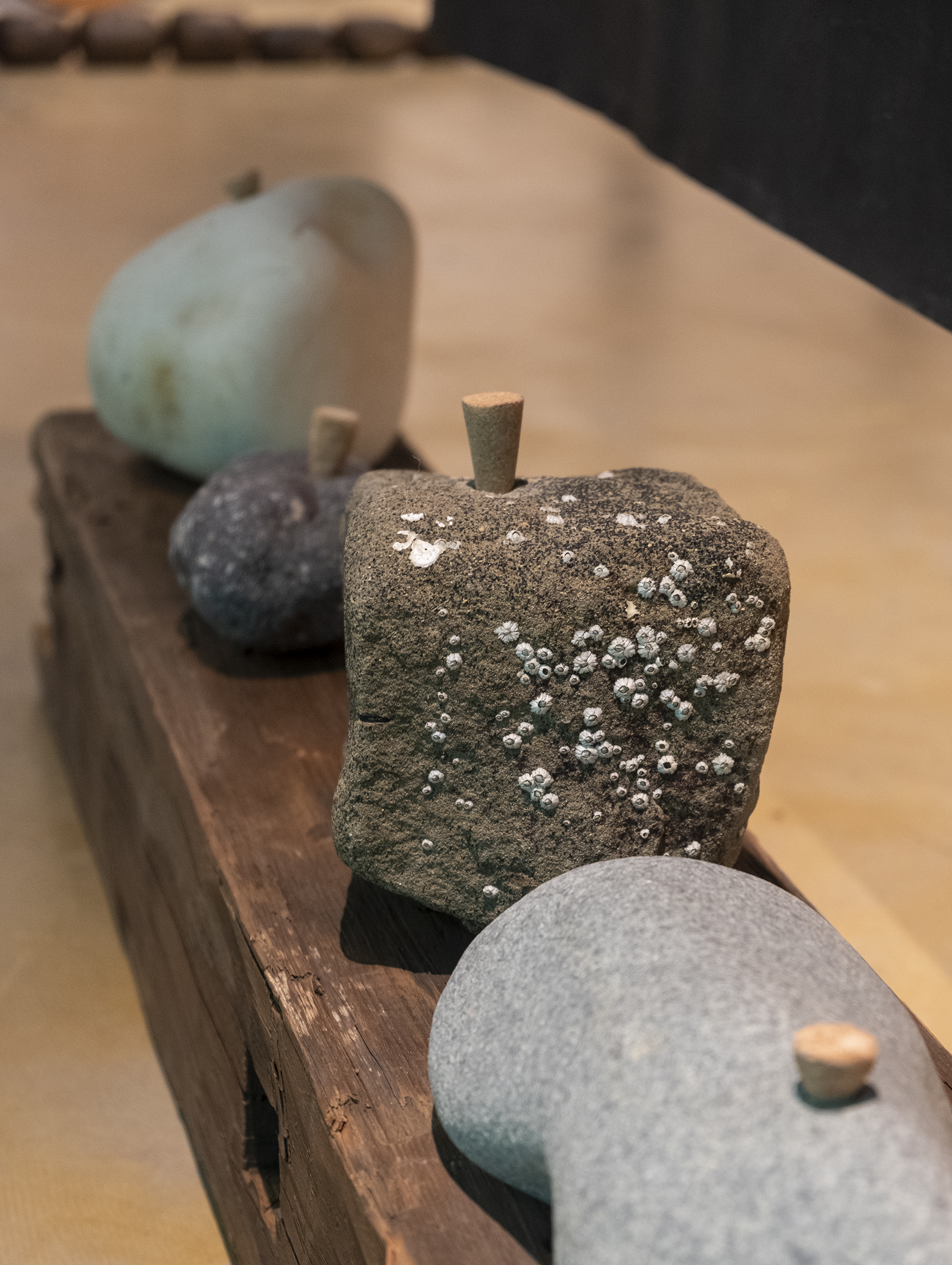 Dans l'œil du béluga, Galerie d’art Louise-et-Reuben-Cohen de l'Université de Moncton, 2025