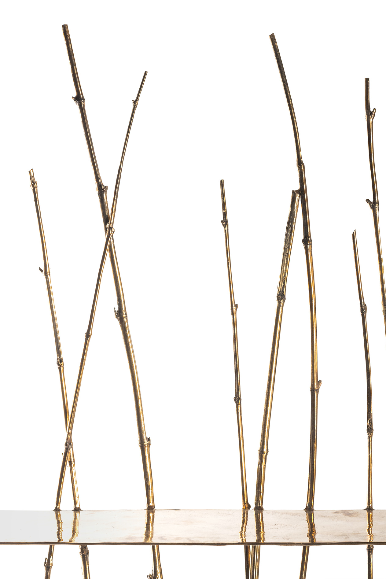 Osanna Visconti, Forest Library