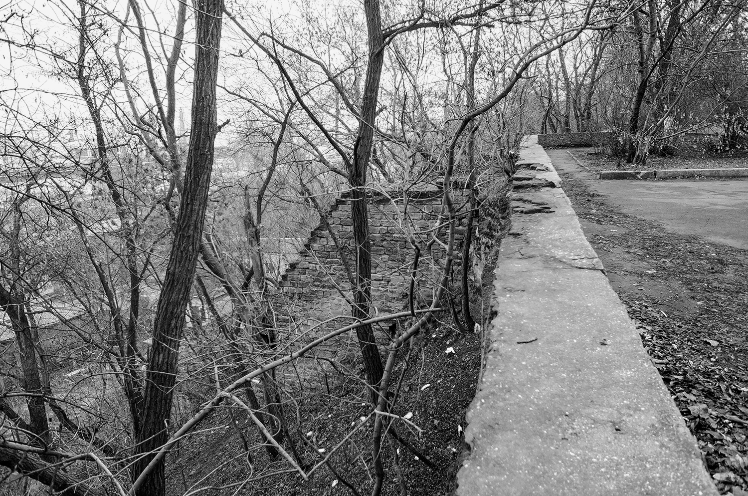 Labourbe Hill_Site_03