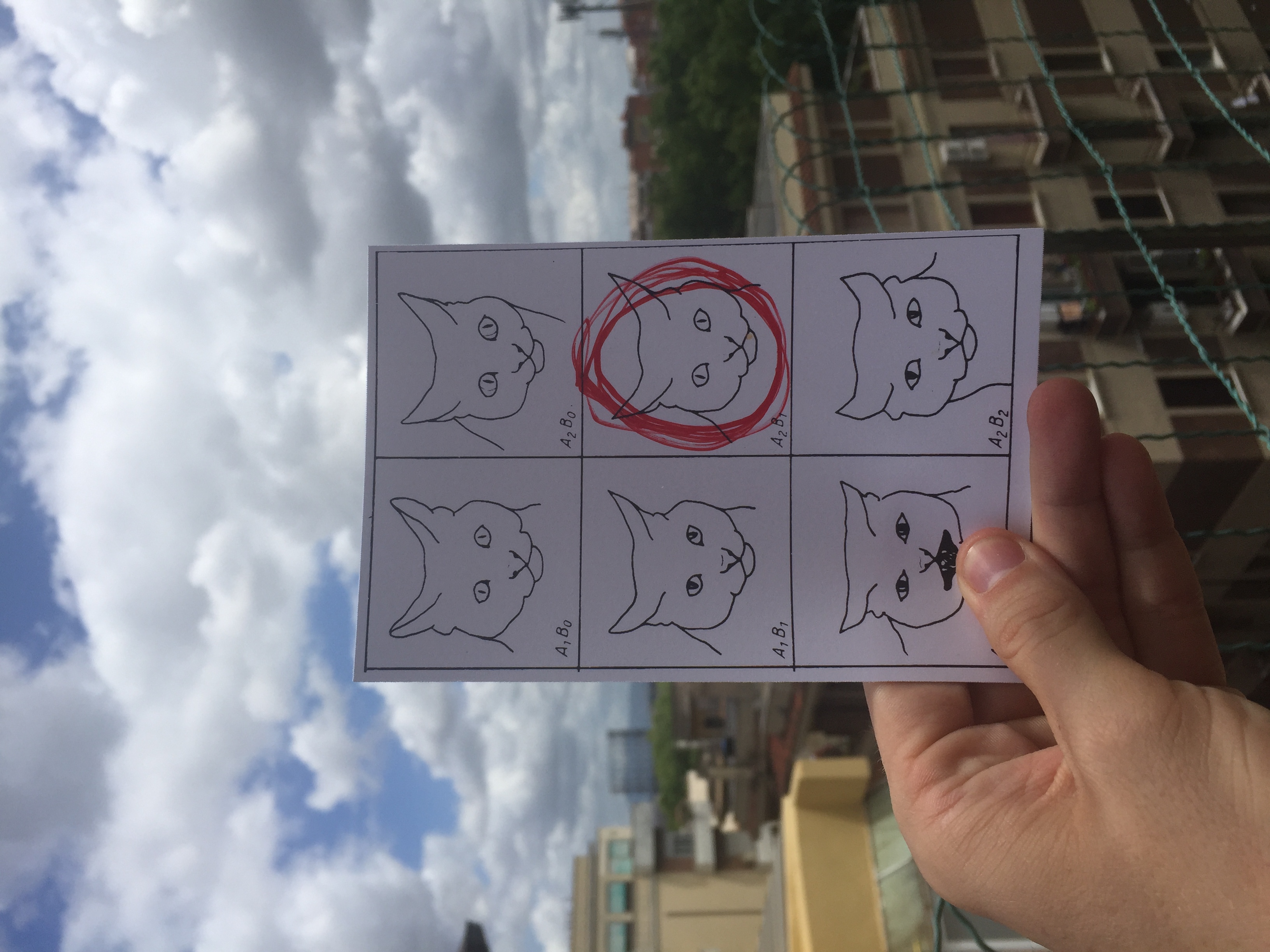 Matt instructed me to circle which cat best reflects my mood at the time. I'm alert and a bit overwhelmed. I think I'm naming this cat Pompey. Happy with the ridiculously cool Airbnb I found way south in Trastevere in Rome. The owner is so into crossfit it reminds me of LA.