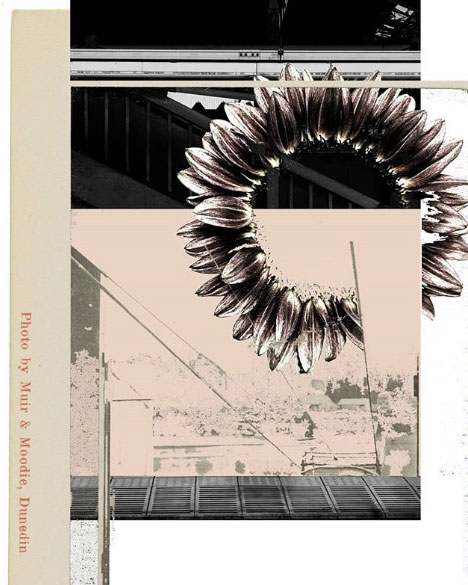 Raquel Azqueta Rodriguez