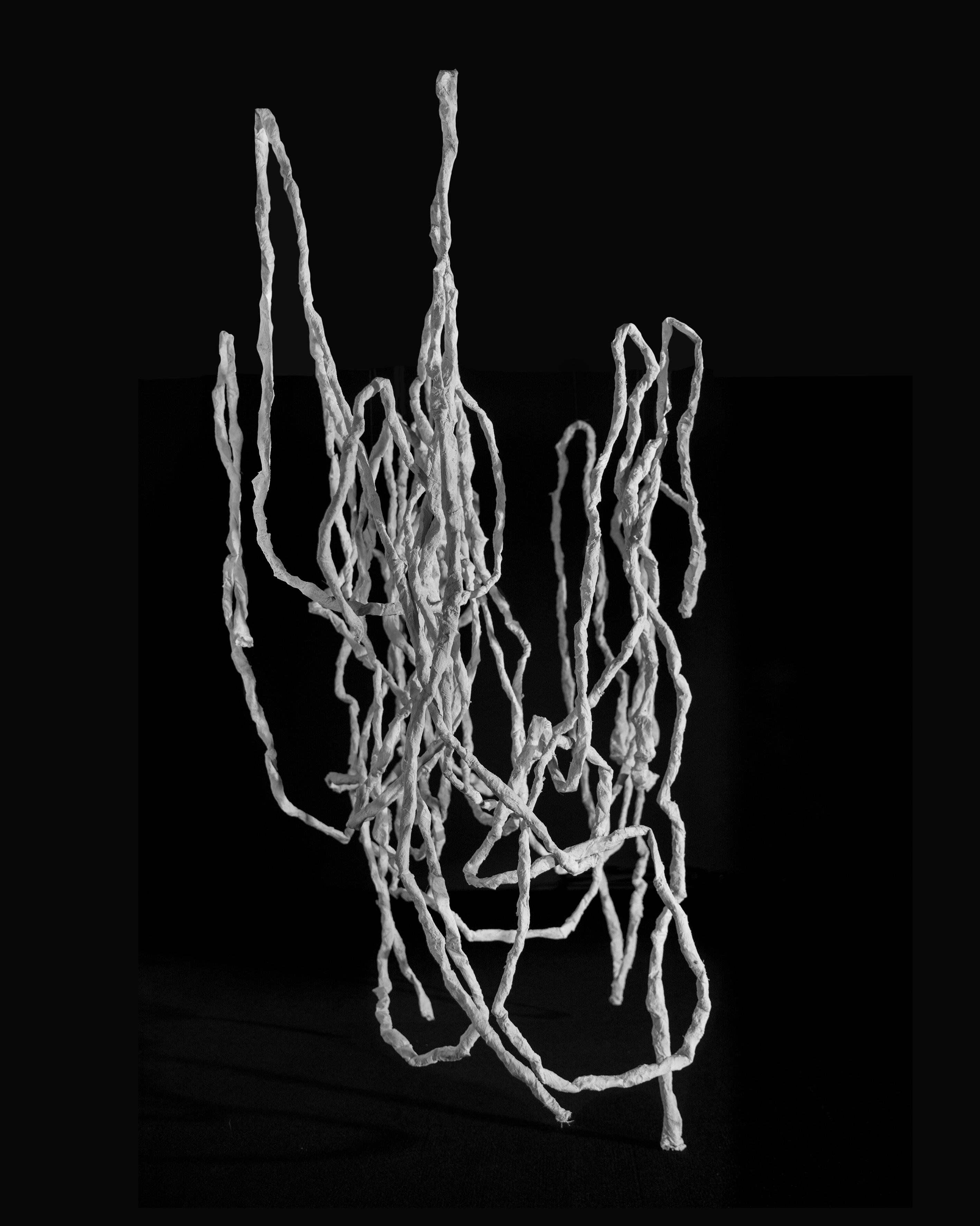 Organic Sculpture, 2018. Inkjet print, 10 x 8 inches