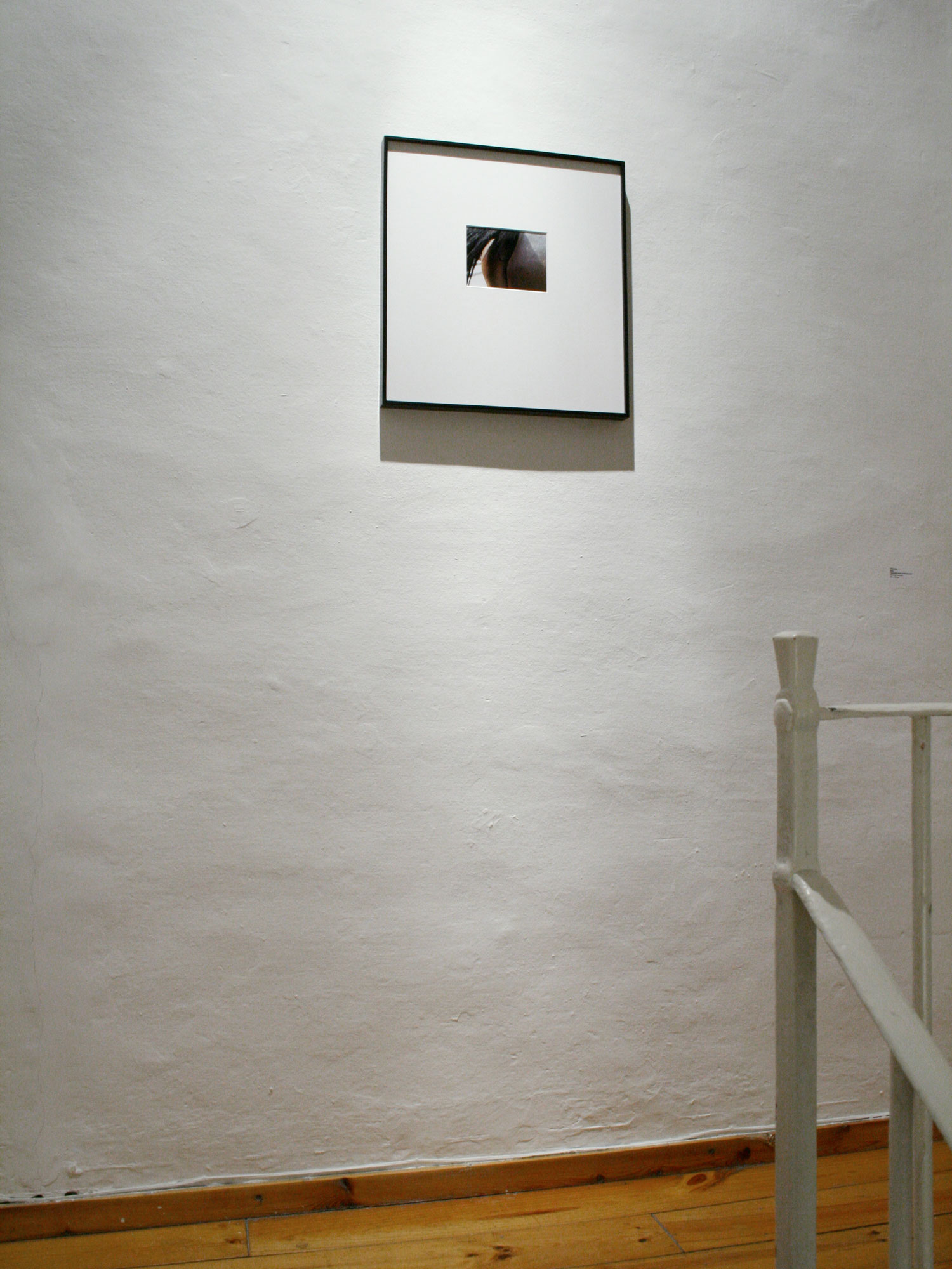 Epílogo, 2009C-Print10 x 15 cm.