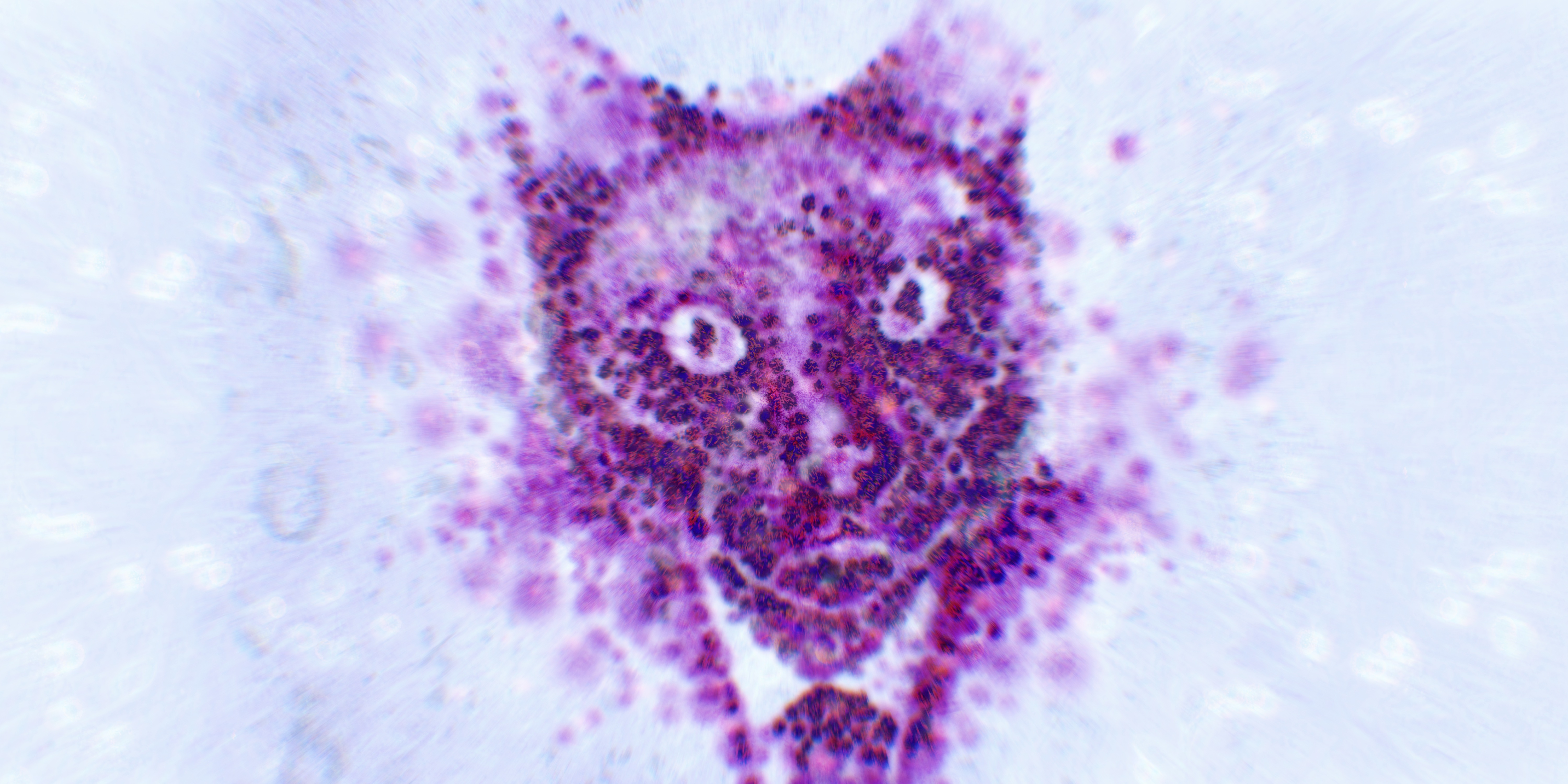 Is the urge to start a company caused by a brain parasite from cats? - Illustration by Justin Metz